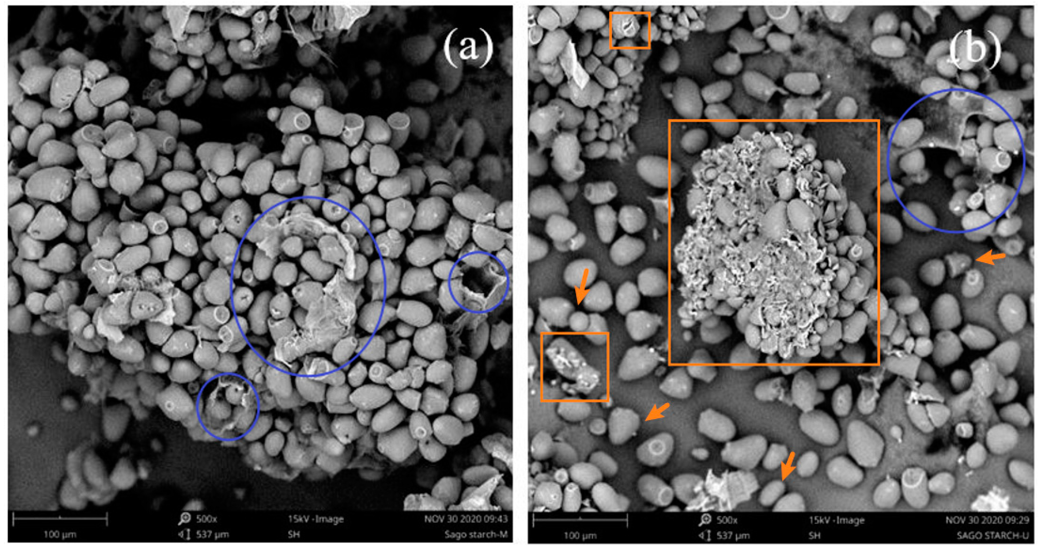 Polymers 13 04398 g005 550