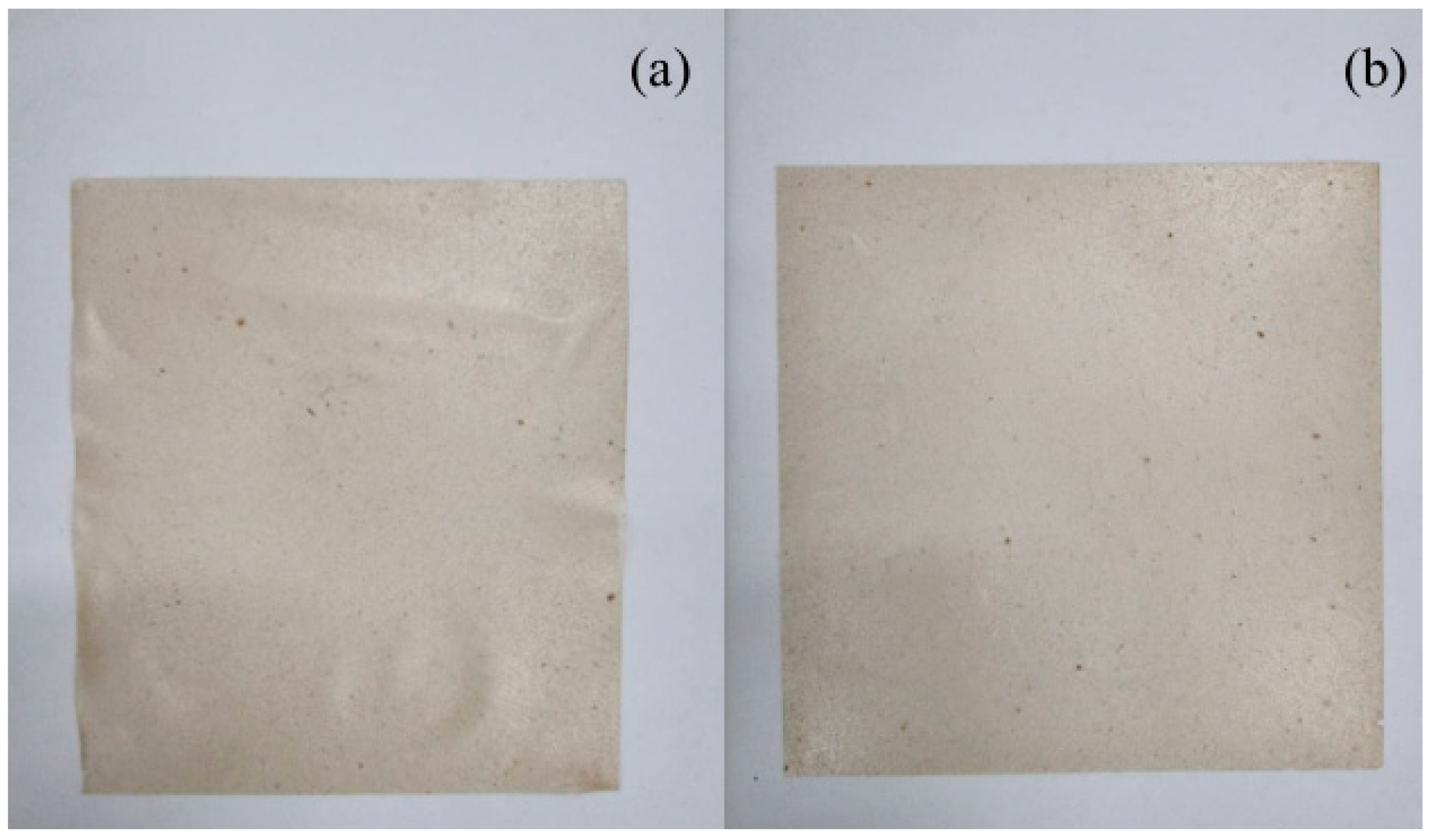 Polymers 13 04398 g008 550