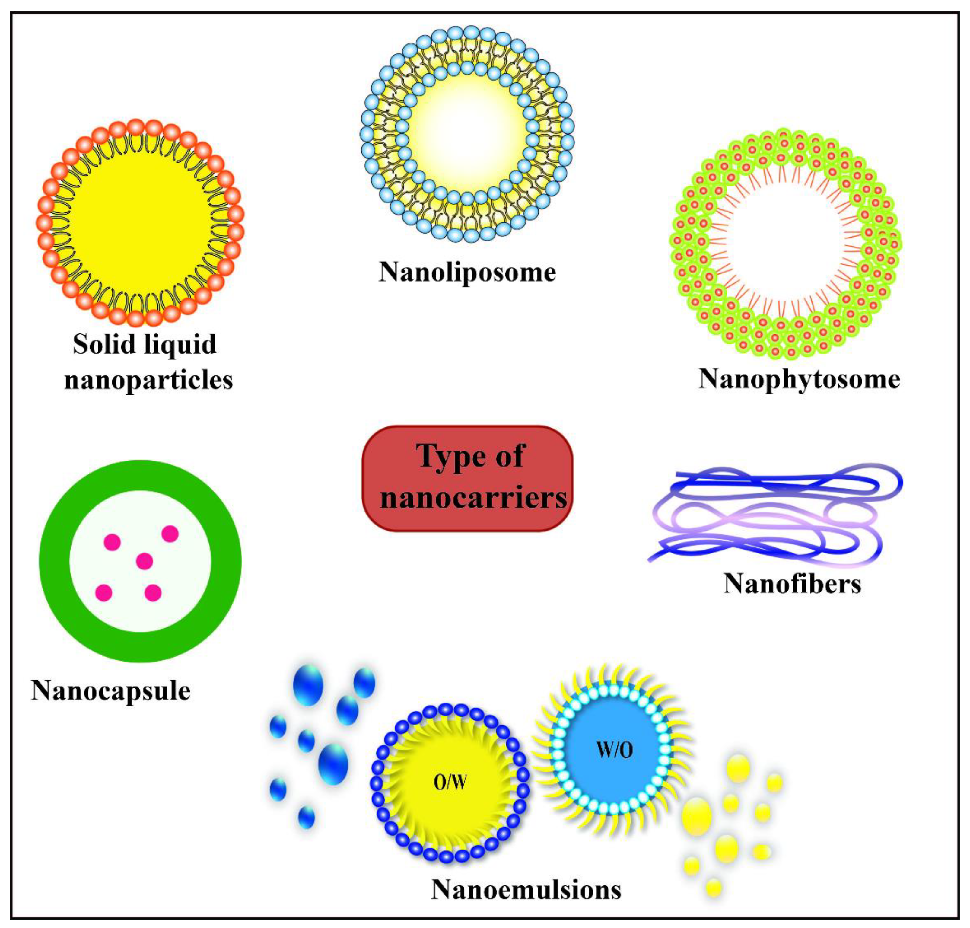 Polymers 13 04399 g001