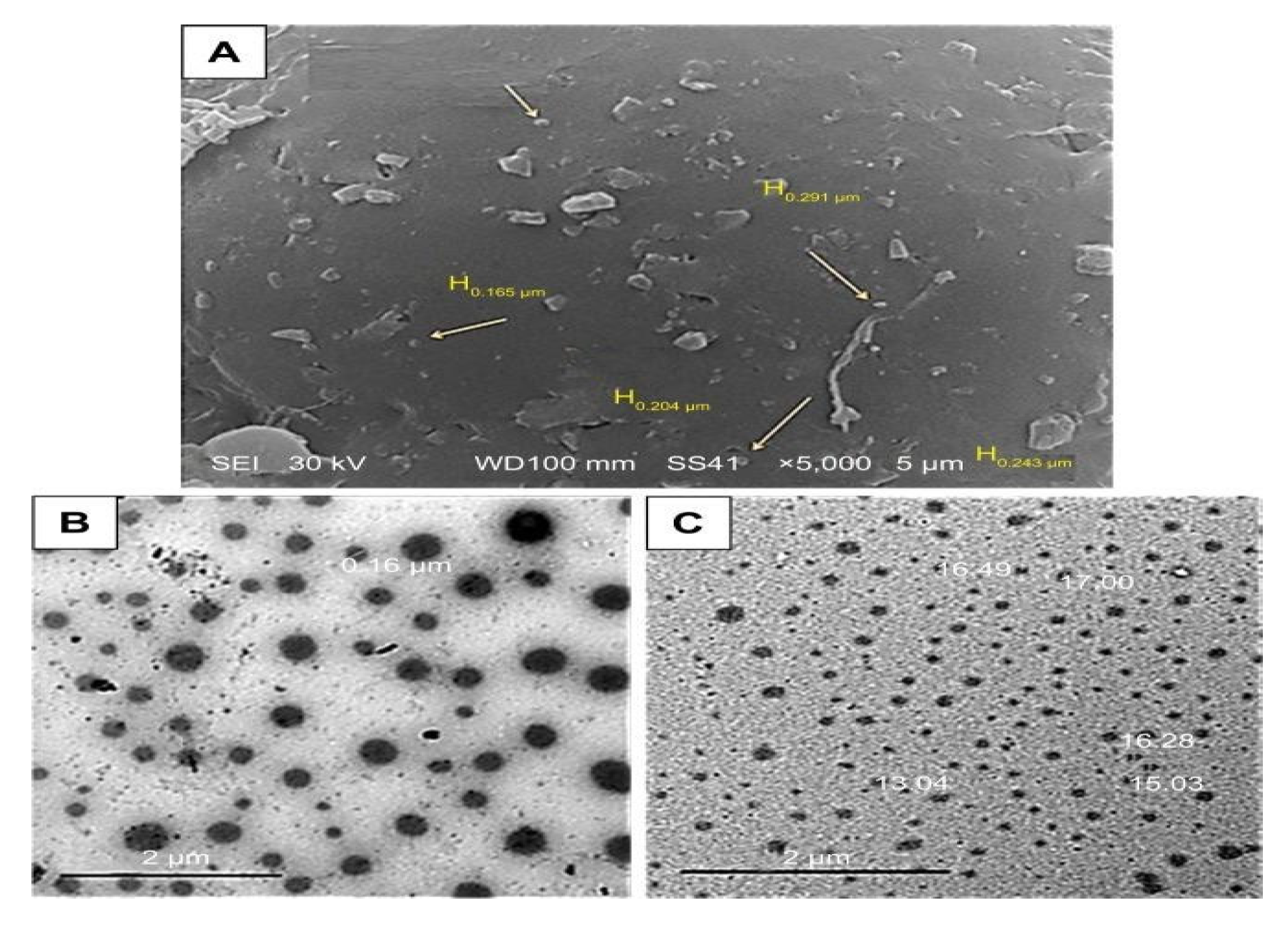 Polymers 13 04400 g002 Polymers 13 04400 g002