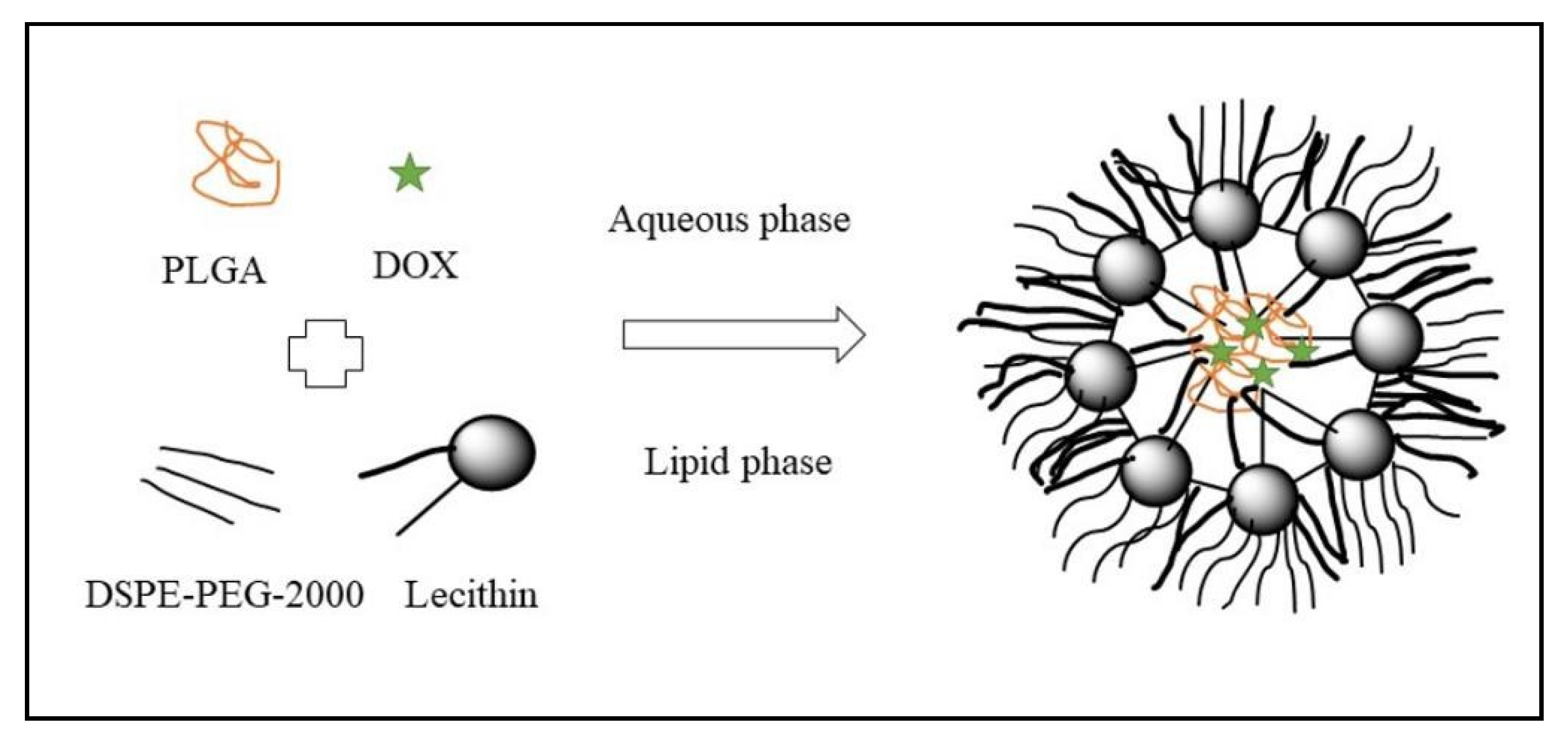 Polymers 13 04400 g004 Polymers 13 04400 g004
