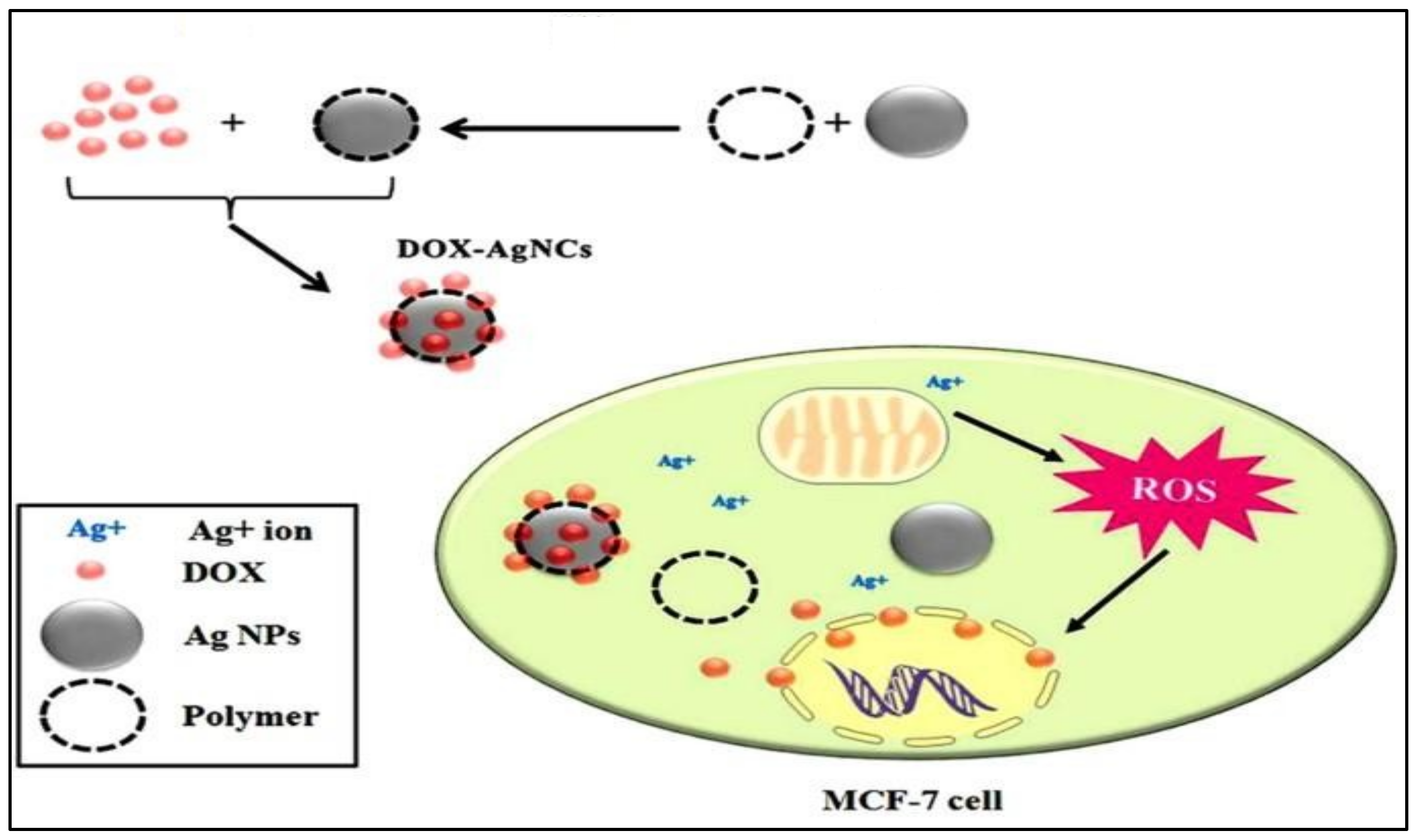 Polymers 13 04400 g005 Polymers 13 04400 g005