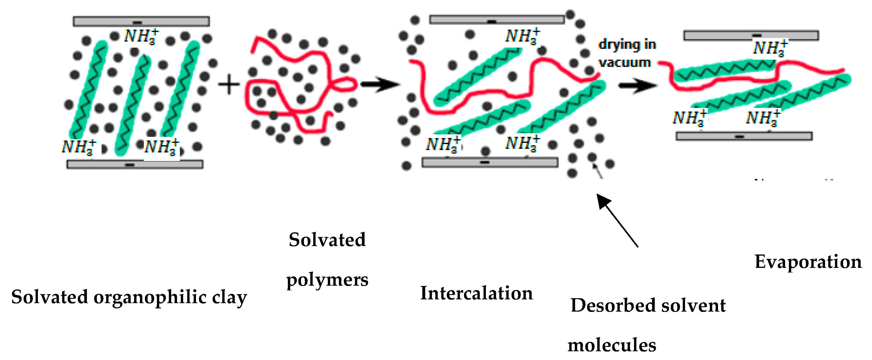 Polymers 13 04401 g006