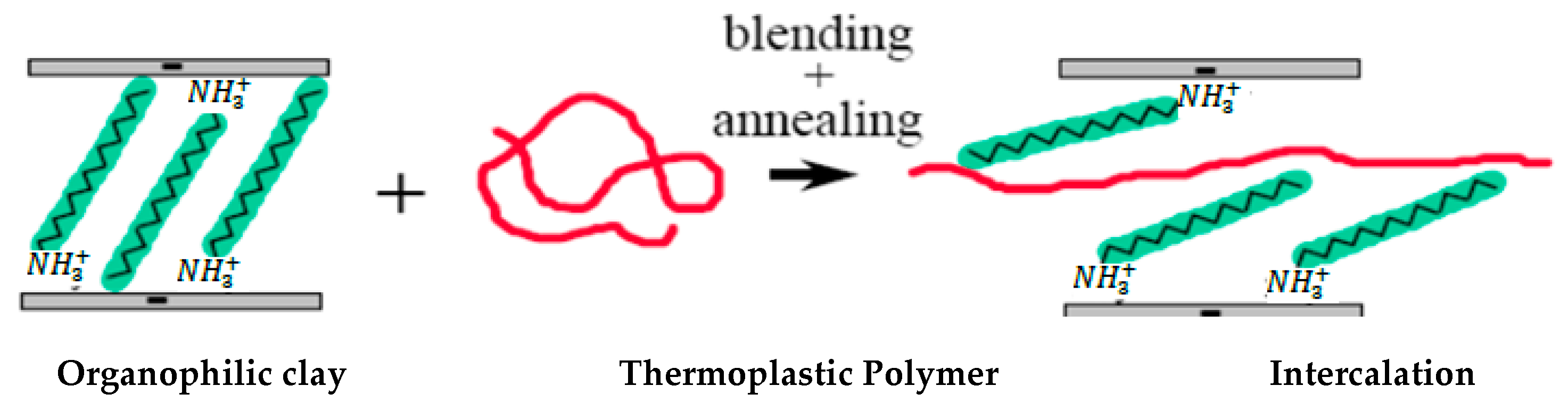 Polymers 13 04401 g007