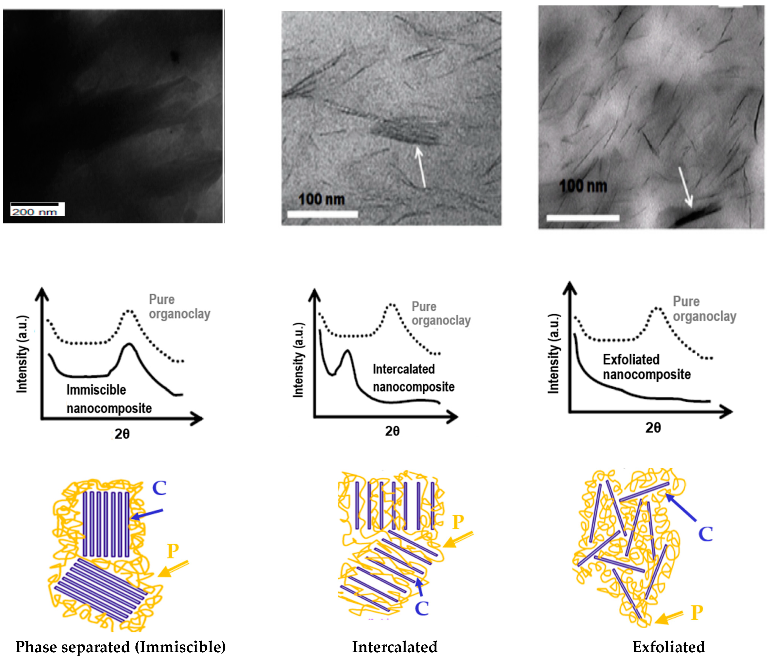 Polymers 13 04401 g009
