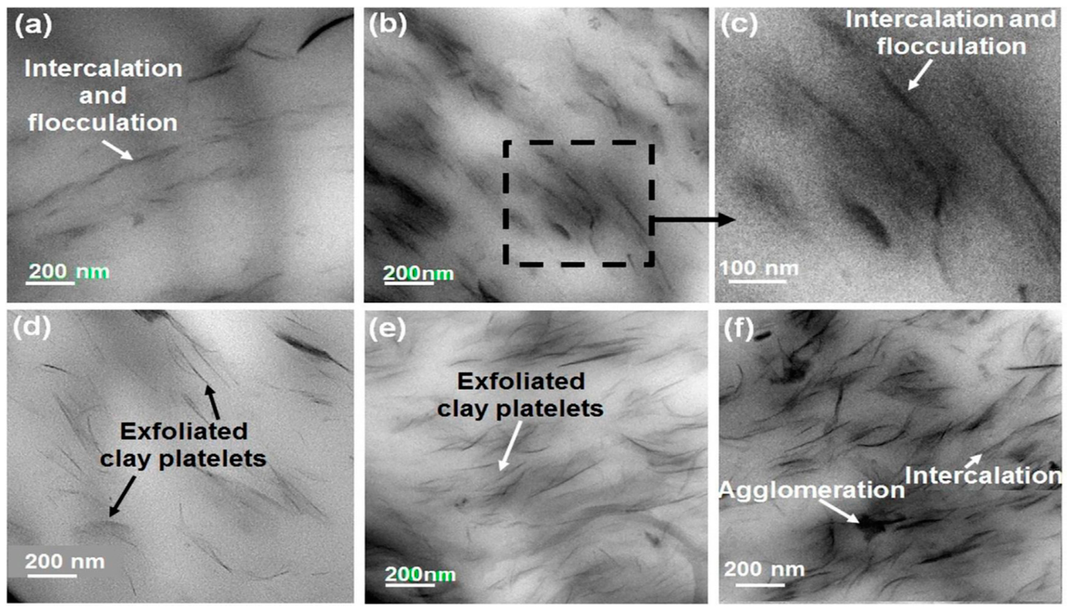 Polymers 13 04401 g011