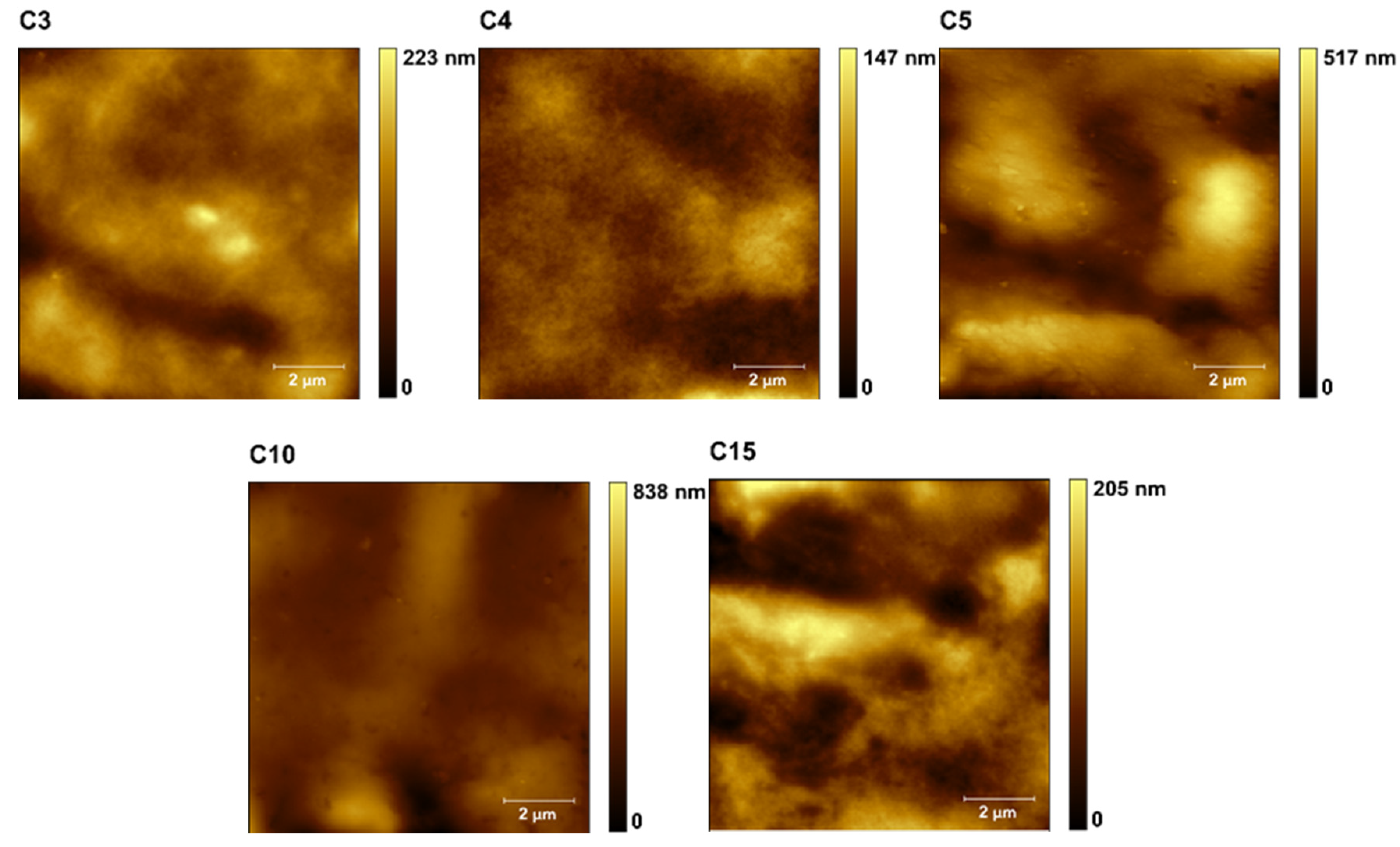 Polymers 13 04406 g003b 550
