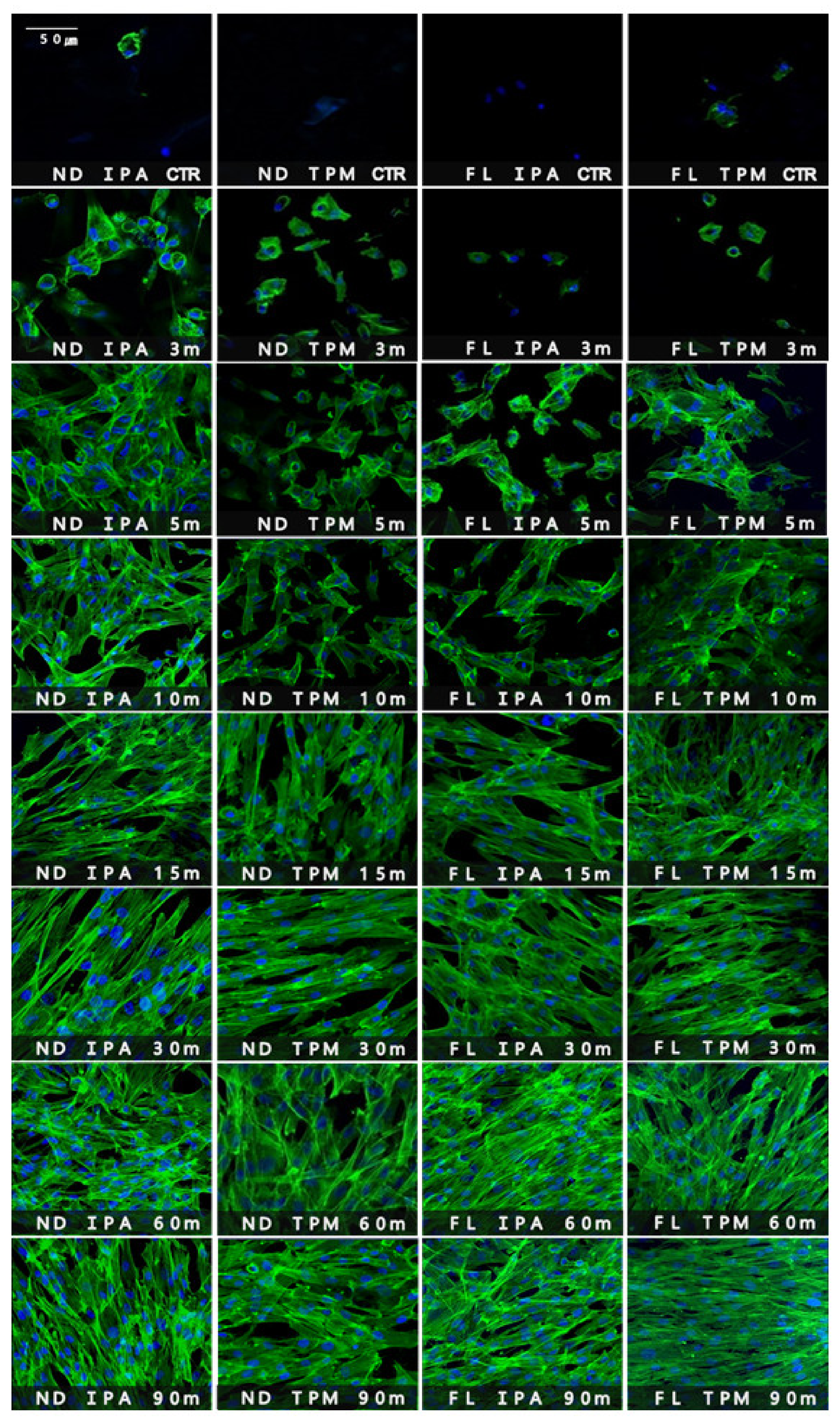 Polymers 13 04410 g008