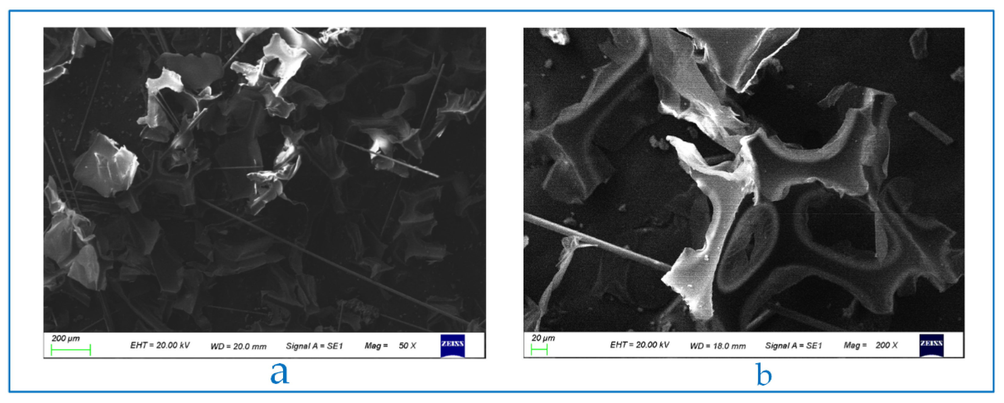 Polymers 13 04411 g006 550