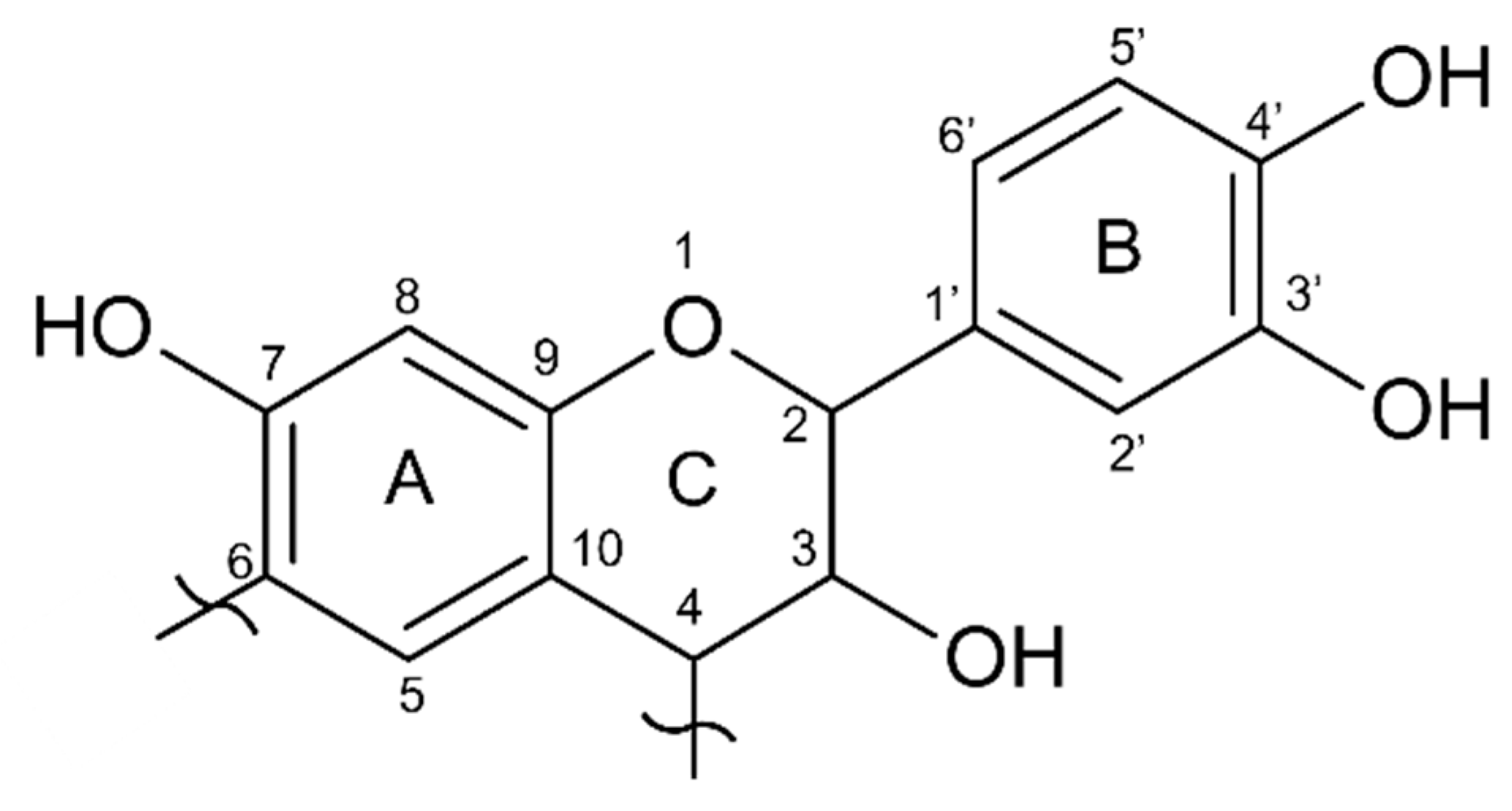 Polymers 13 04412 g006