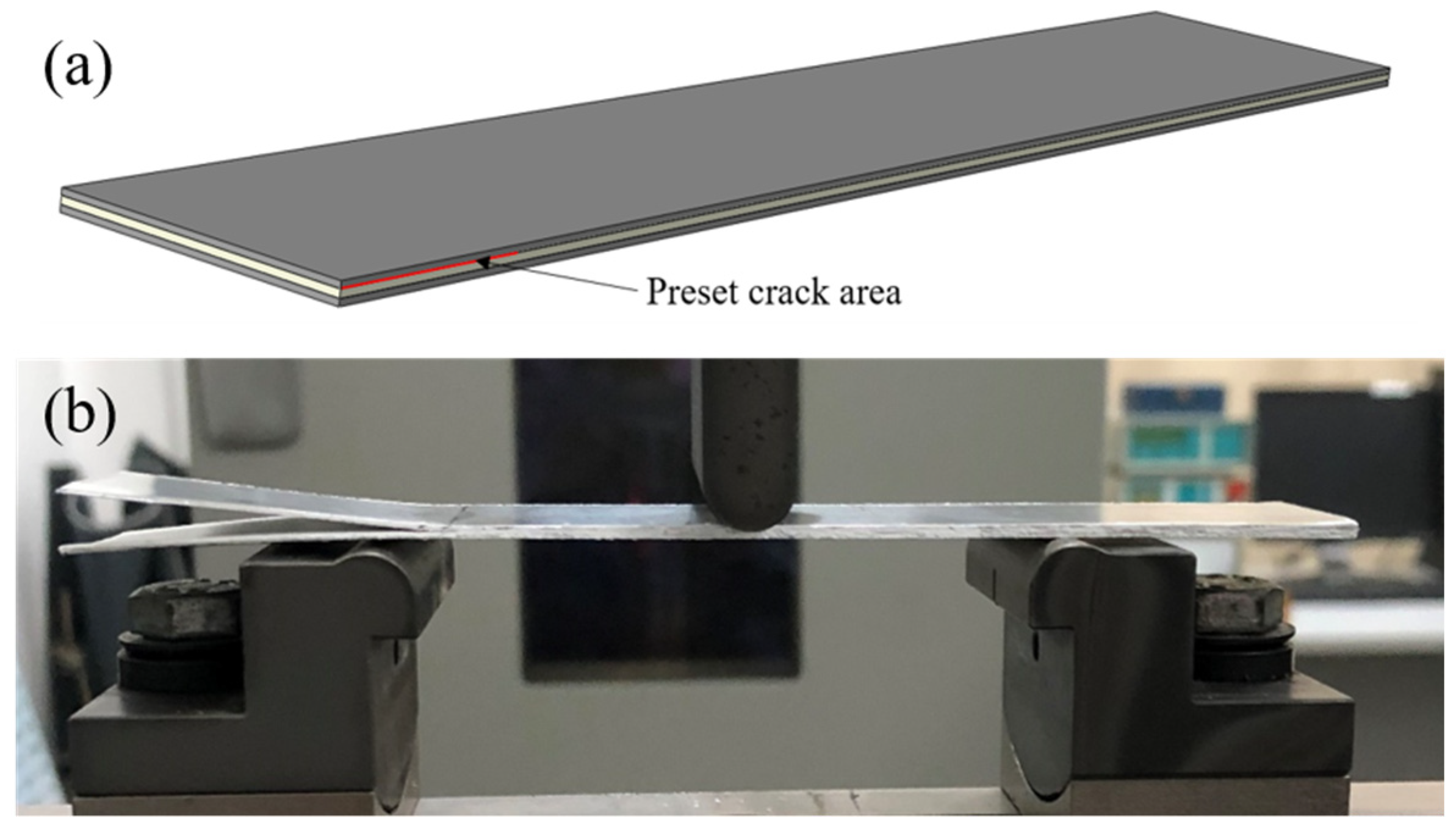 Polymers 13 04416 g002 550