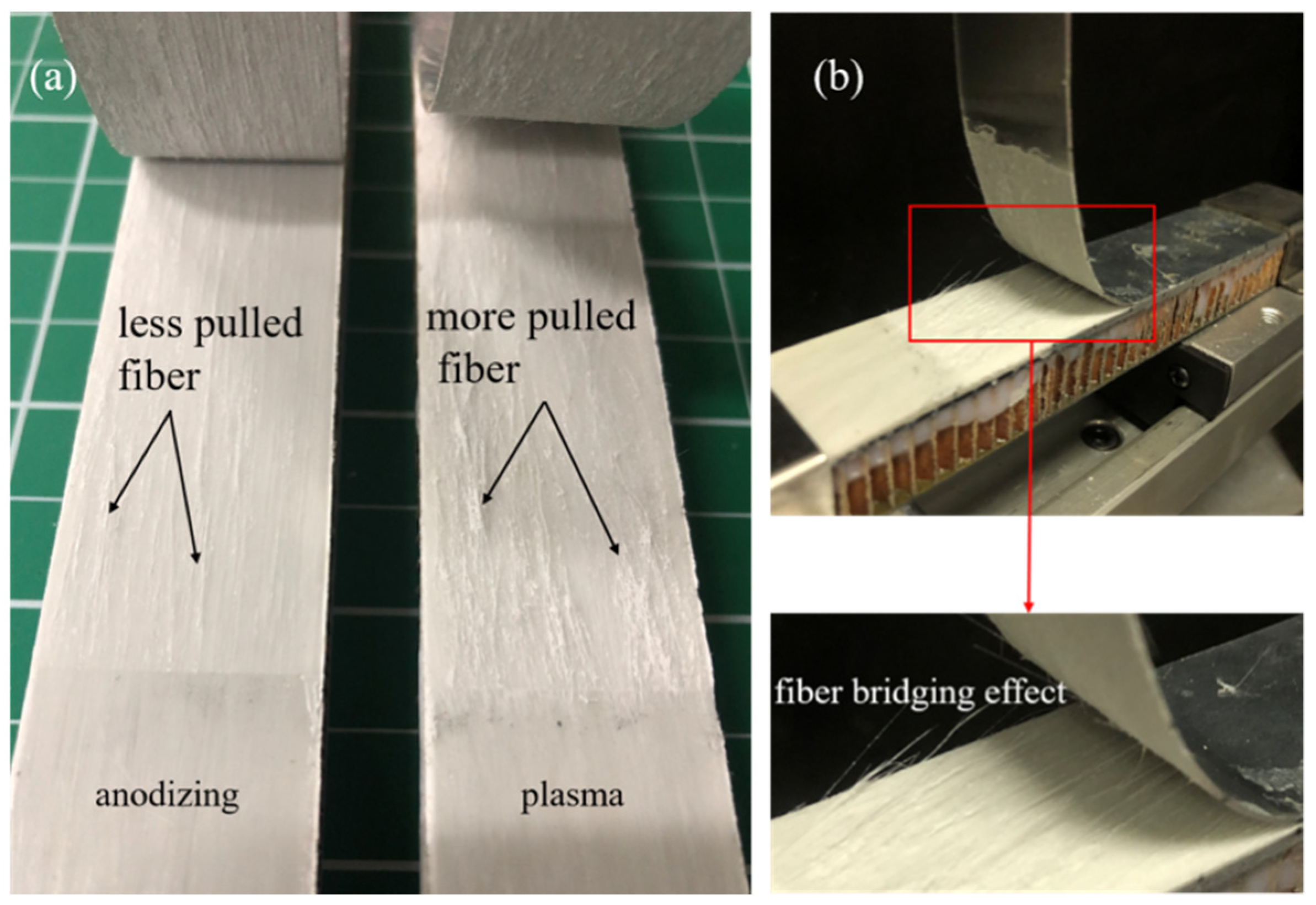 Polymers 13 04416 g004 550