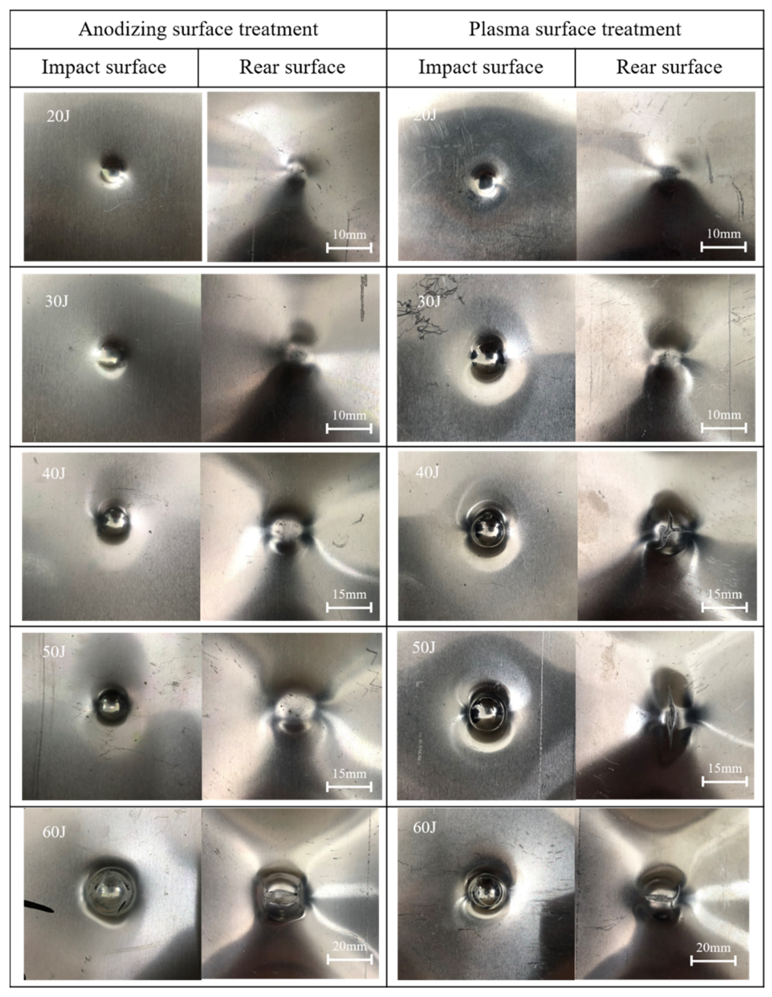 Polymers 13 04416 g010 550