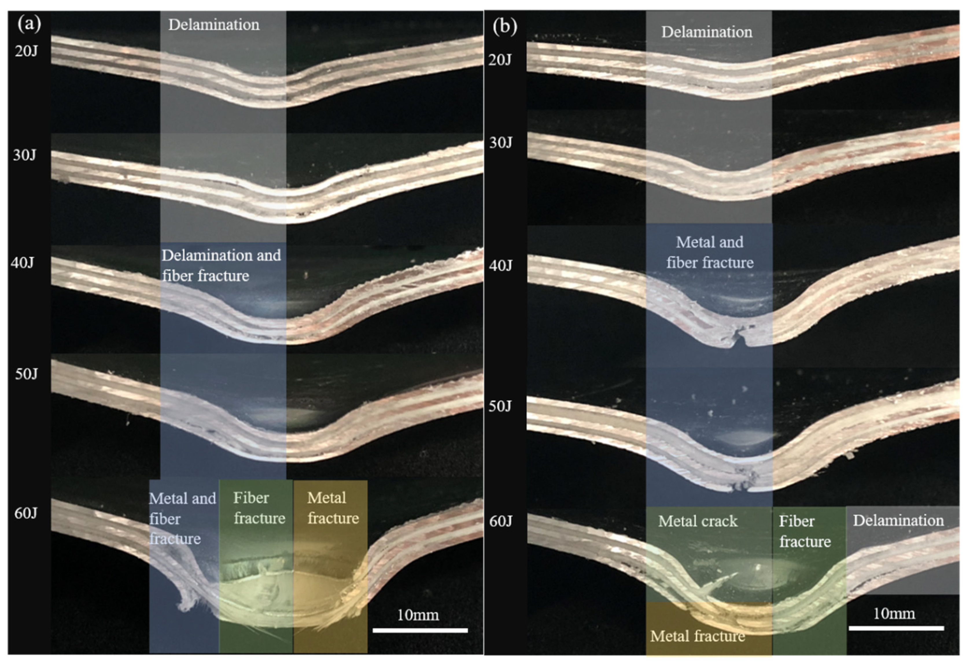 Polymers 13 04416 g011 550