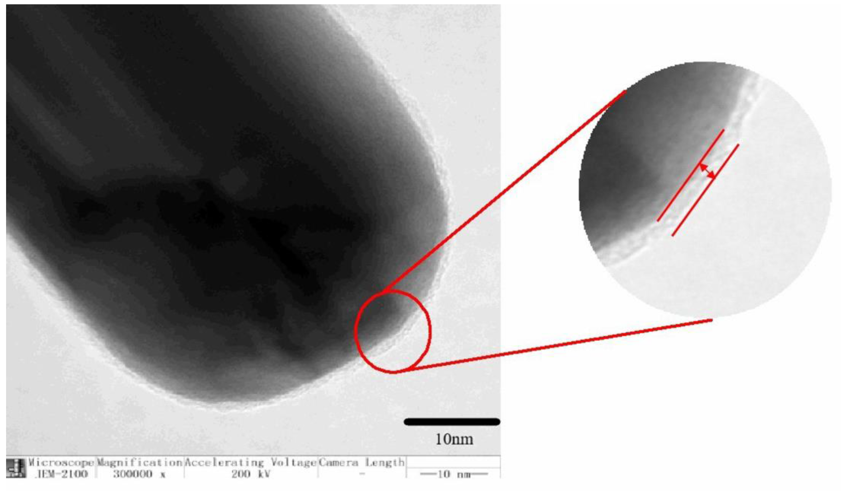 Polymers 13 04417 g002 Polymers 13 04417 g002