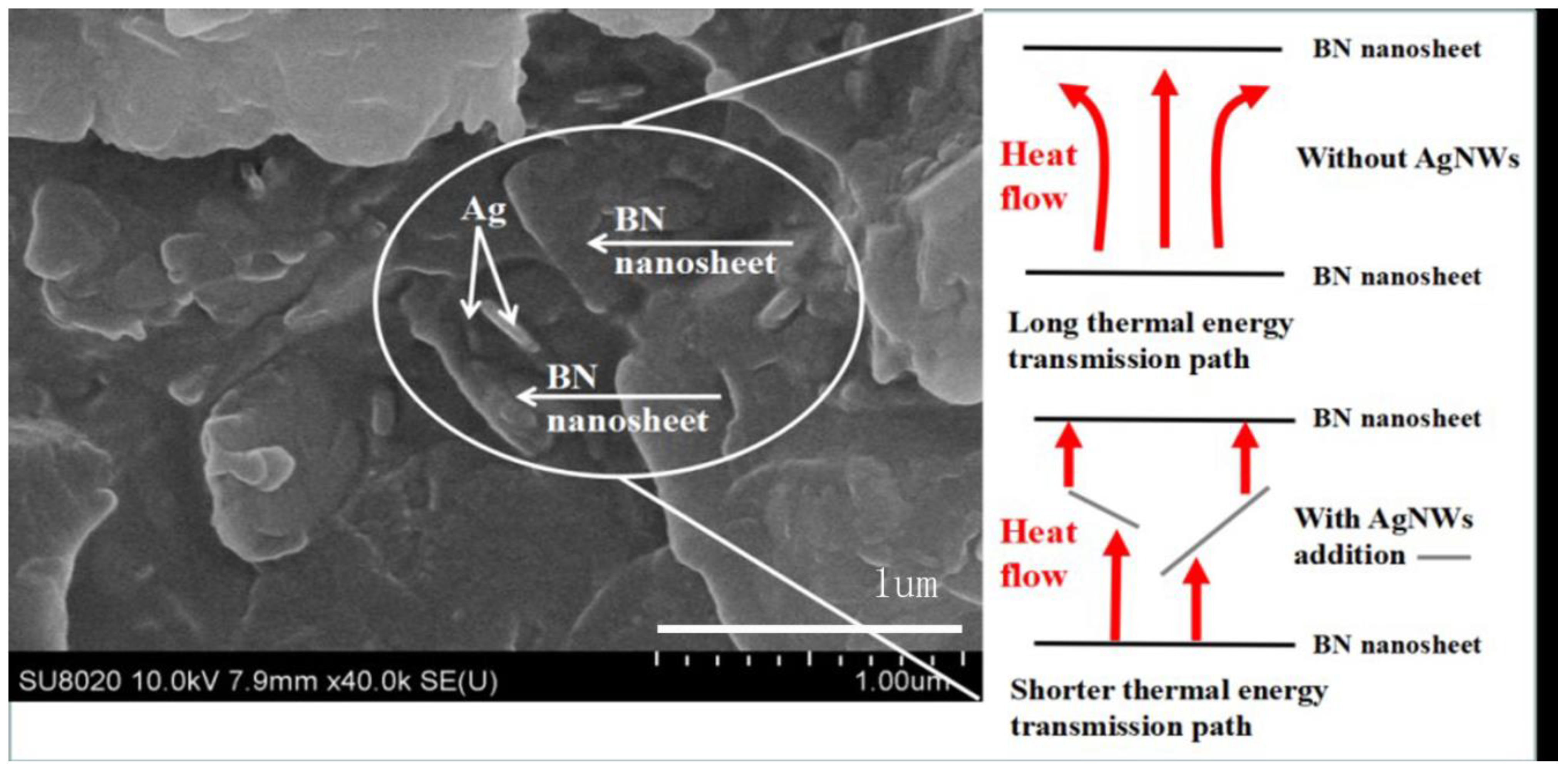Polymers 13 04417 g008 Polymers 13 04417 g008