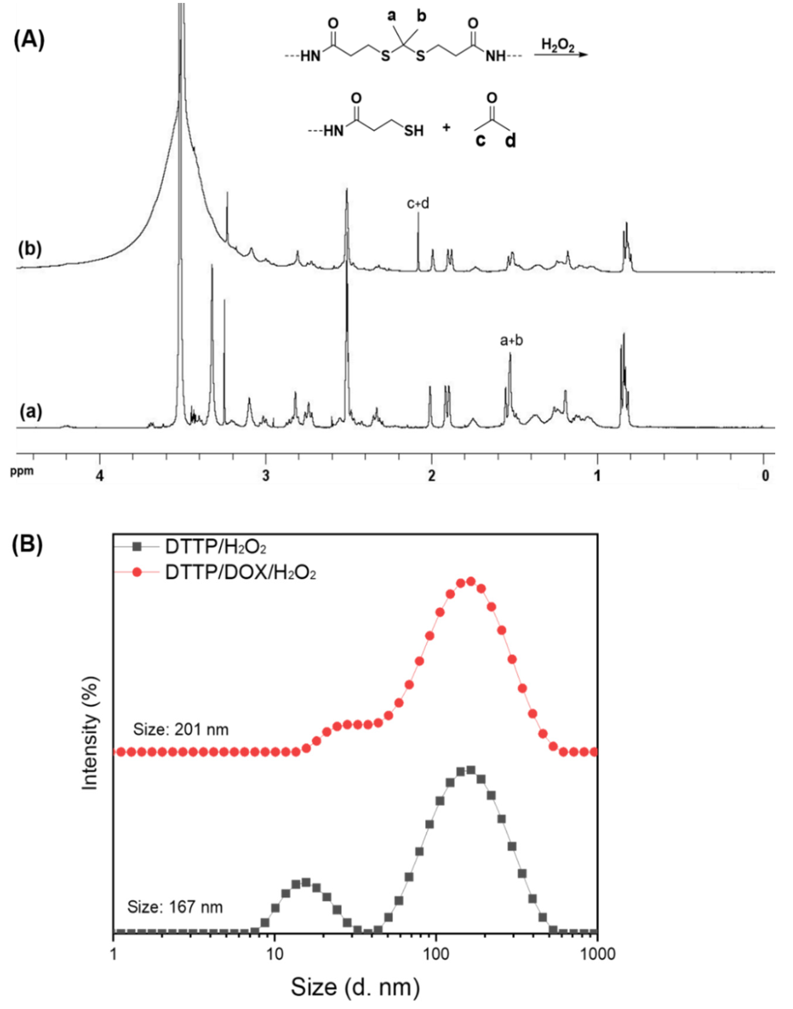Polymers 13 04418 g003