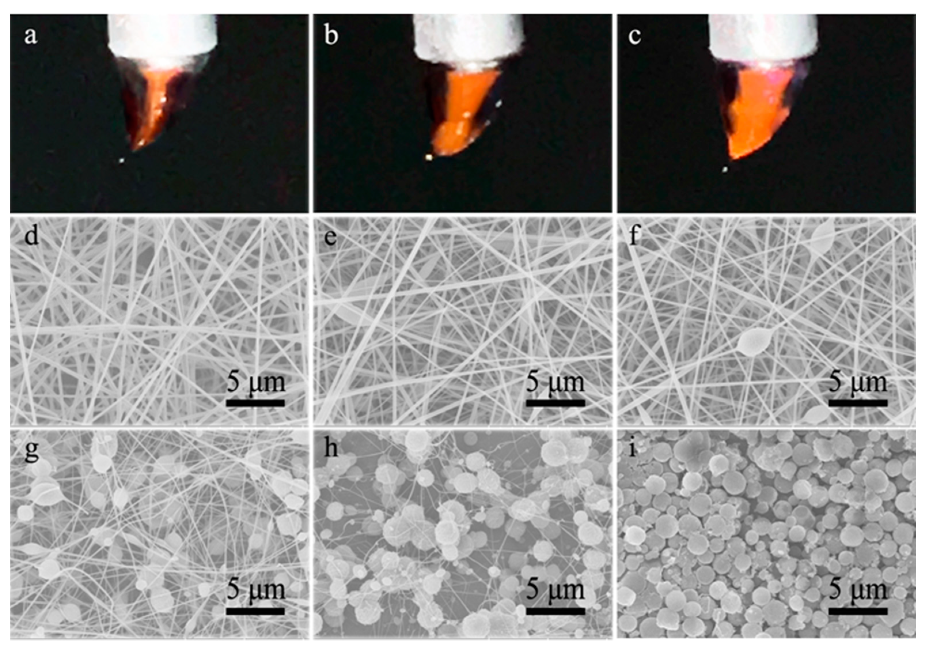 Polymers 13 04419 g003