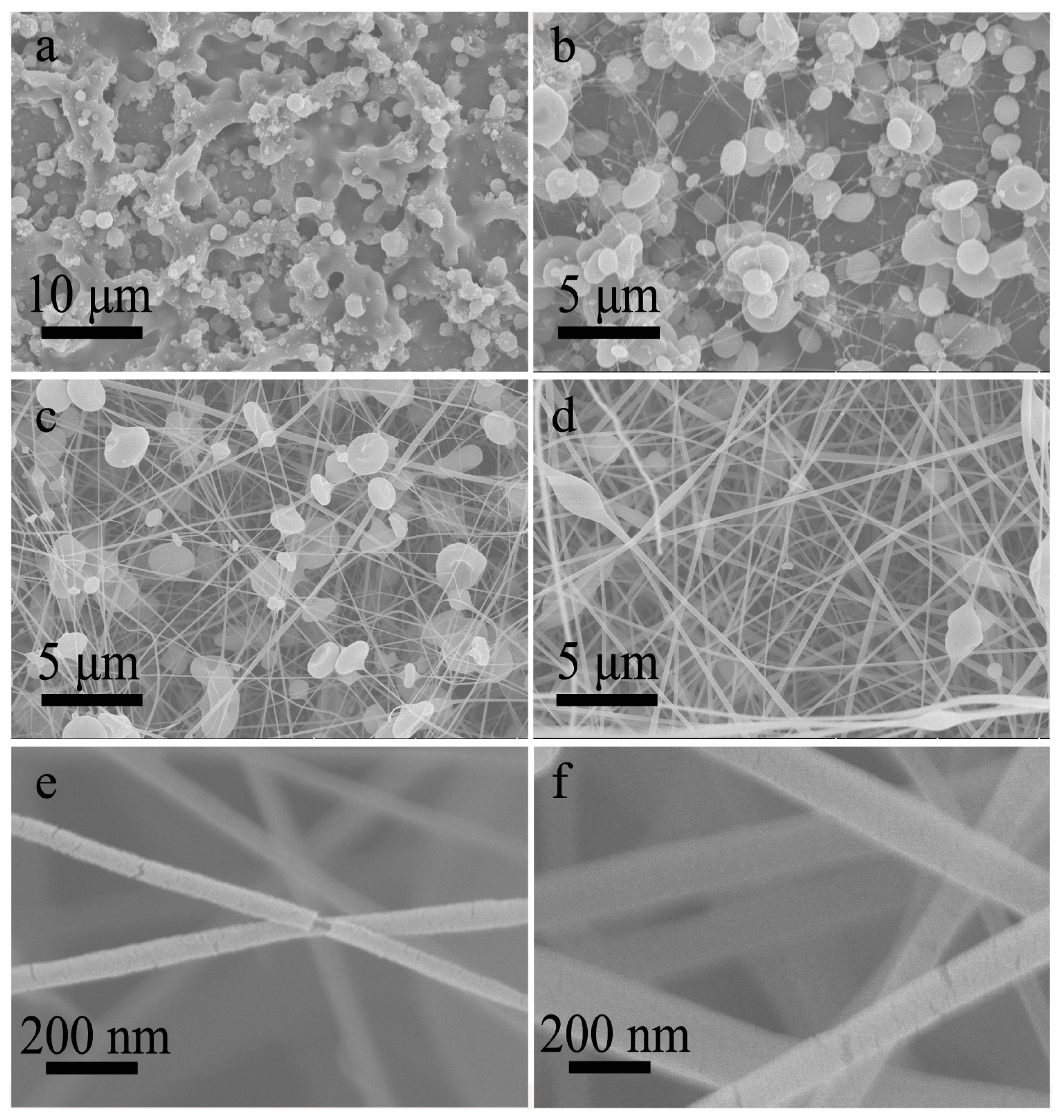 Polymers 13 04419 g007