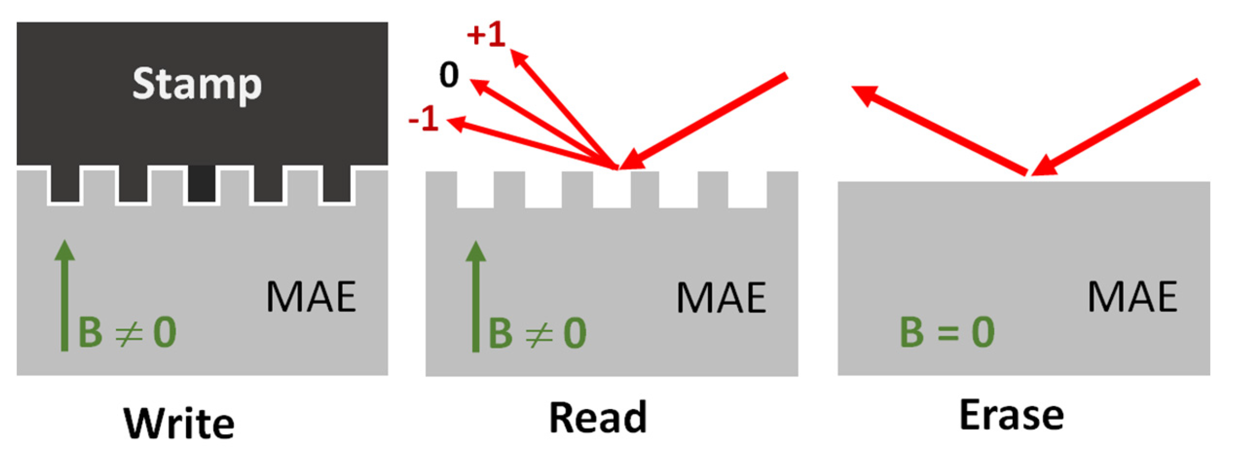Polymers 13 04422 g001