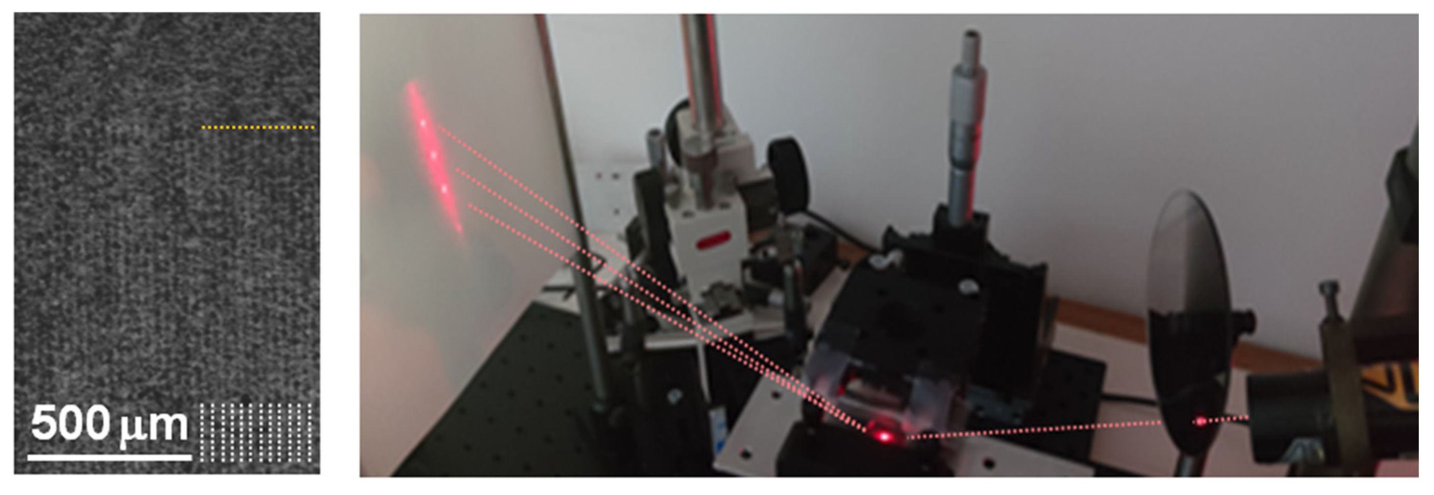 Polymers 13 04422 g002