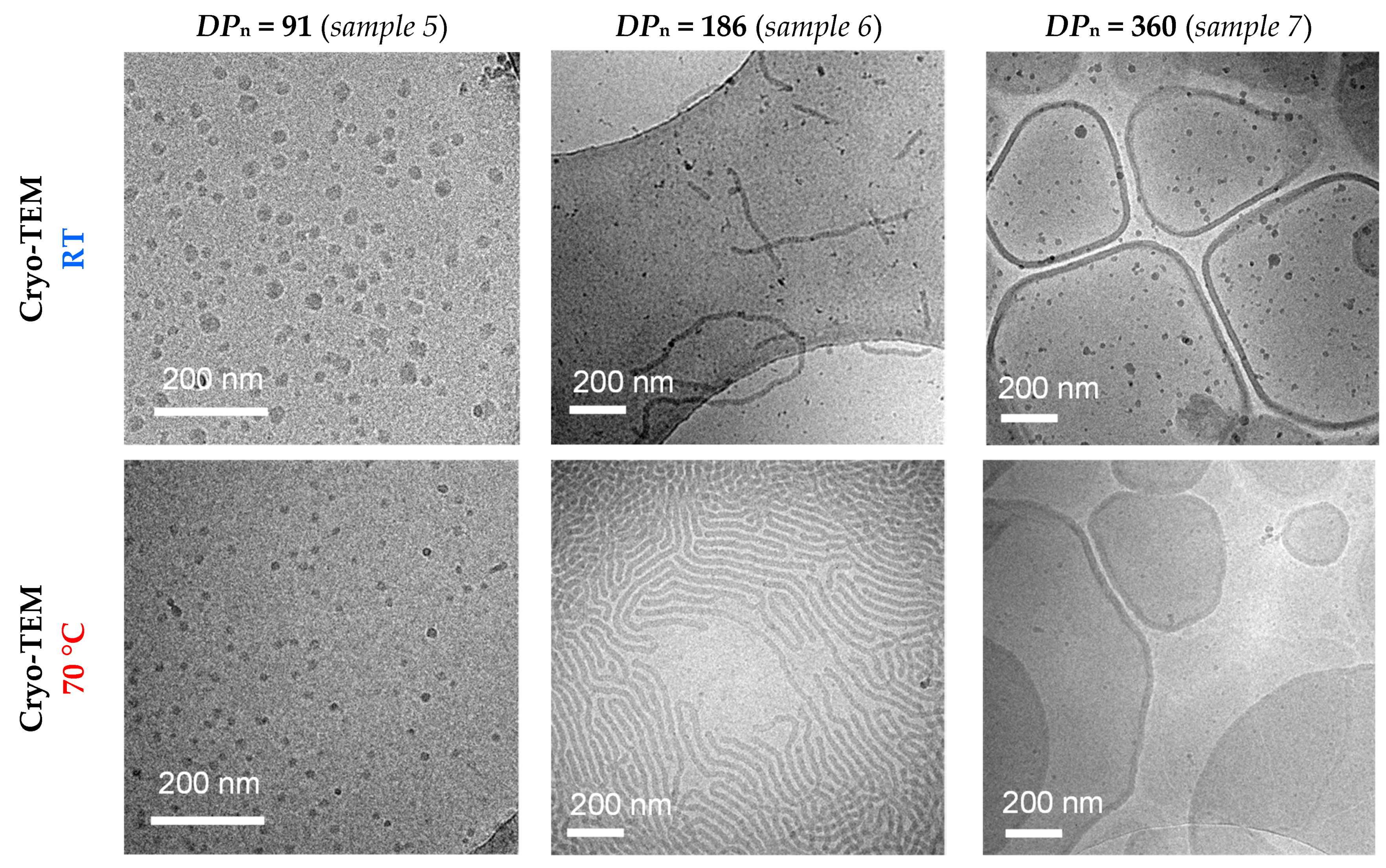 Polymers 13 04424 g002