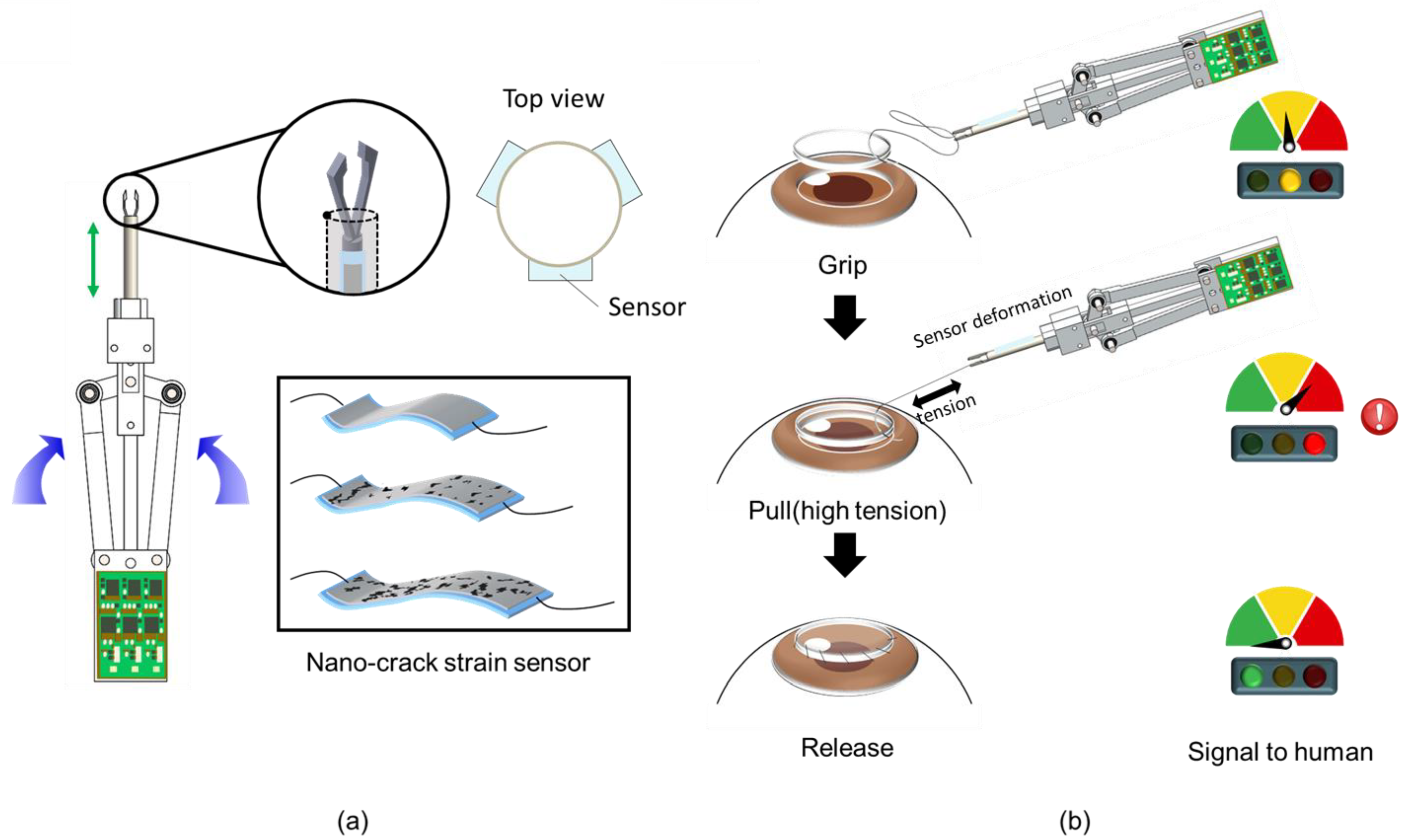 Polymers 13 04433 g001