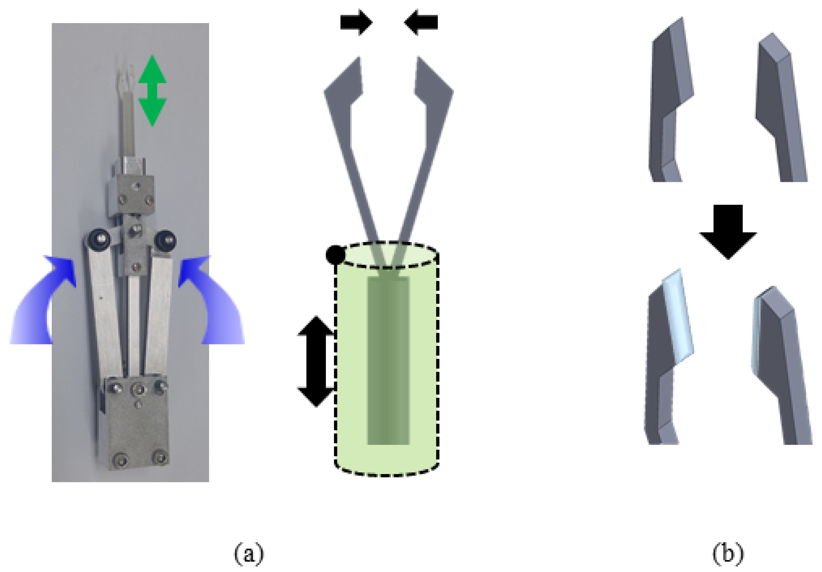 Polymers 13 04433 g004