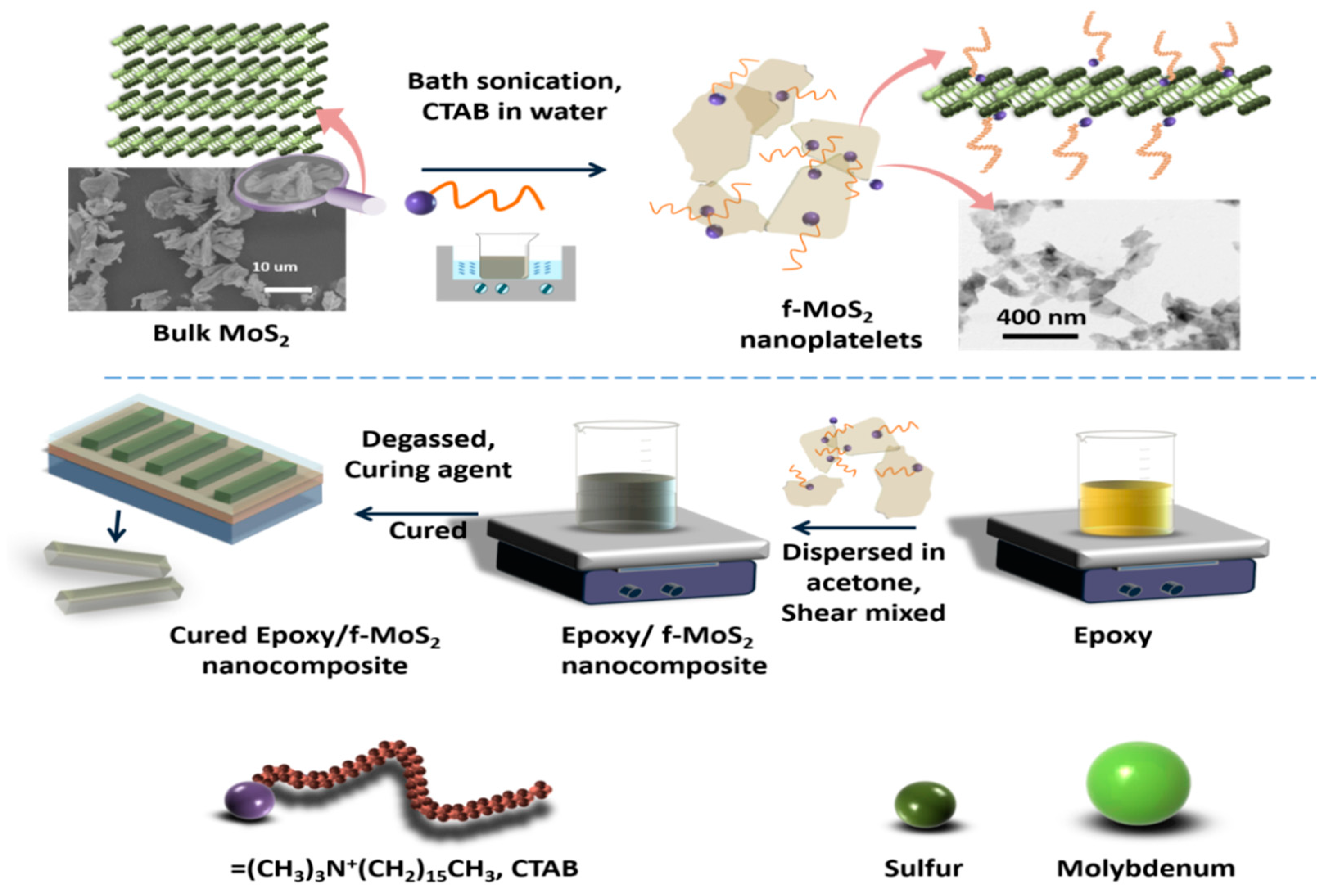 Polymers 13 04440 g001