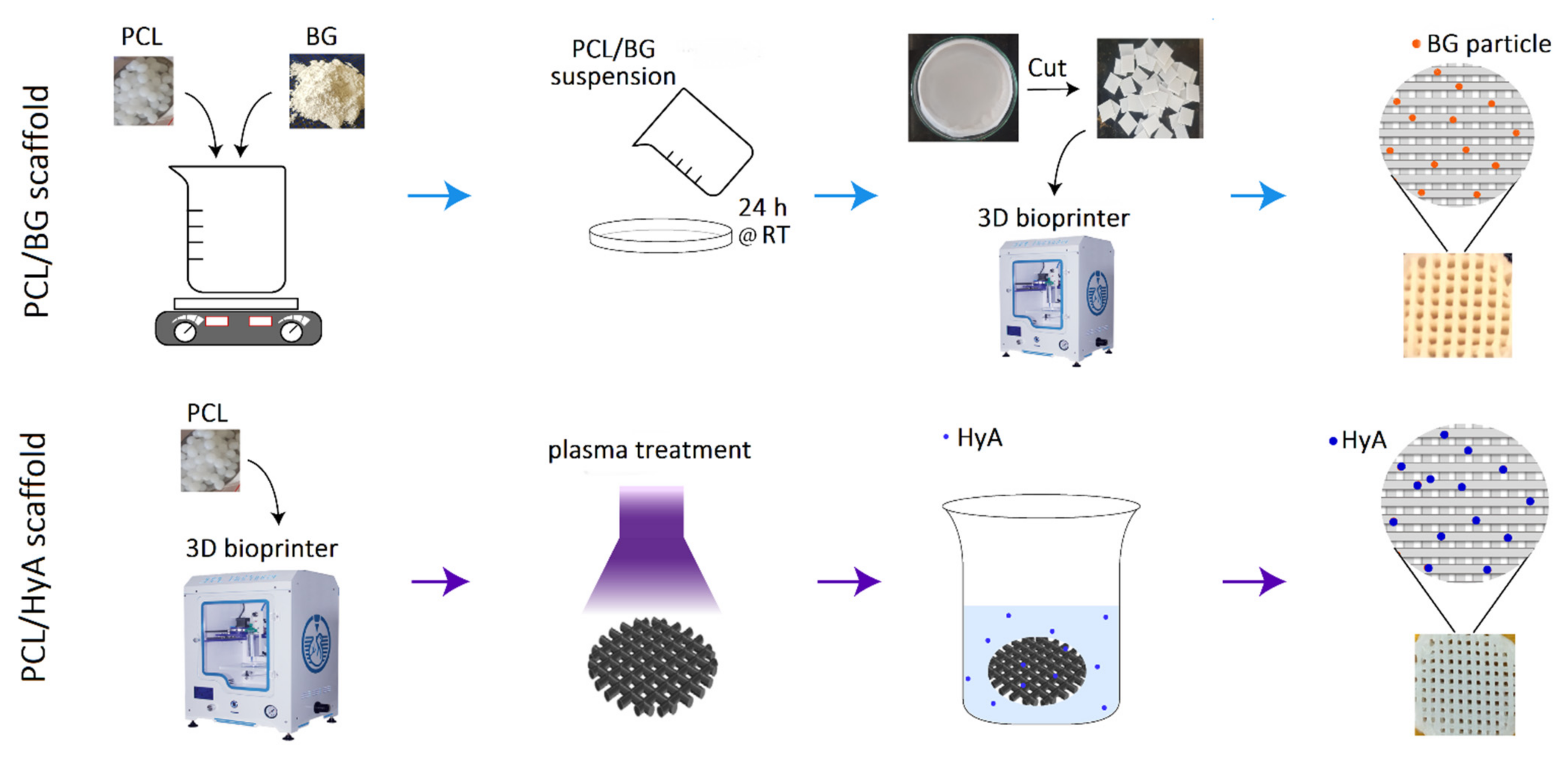 Polymers 13 04442 g001