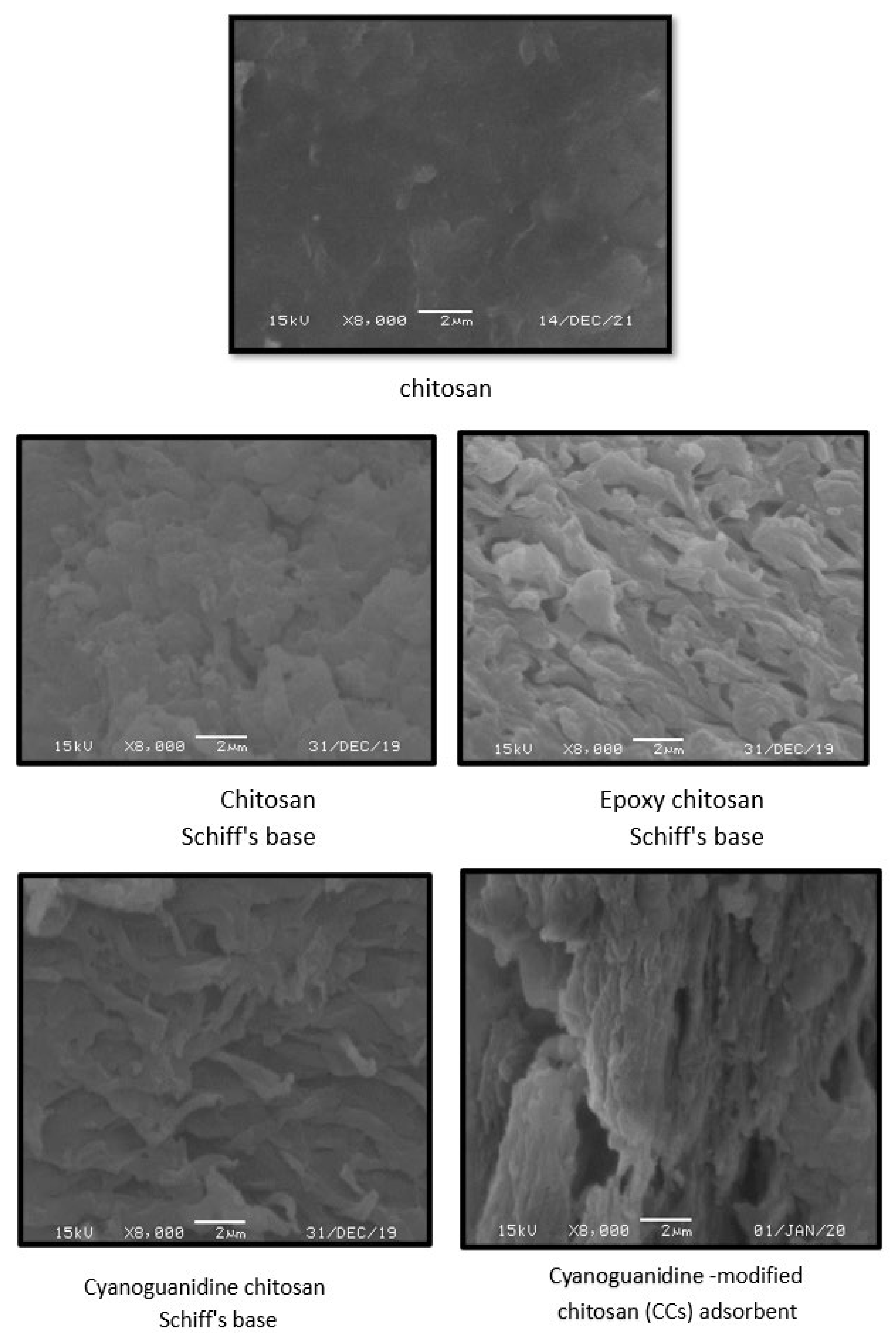 Polymers 13 04446 g004 550