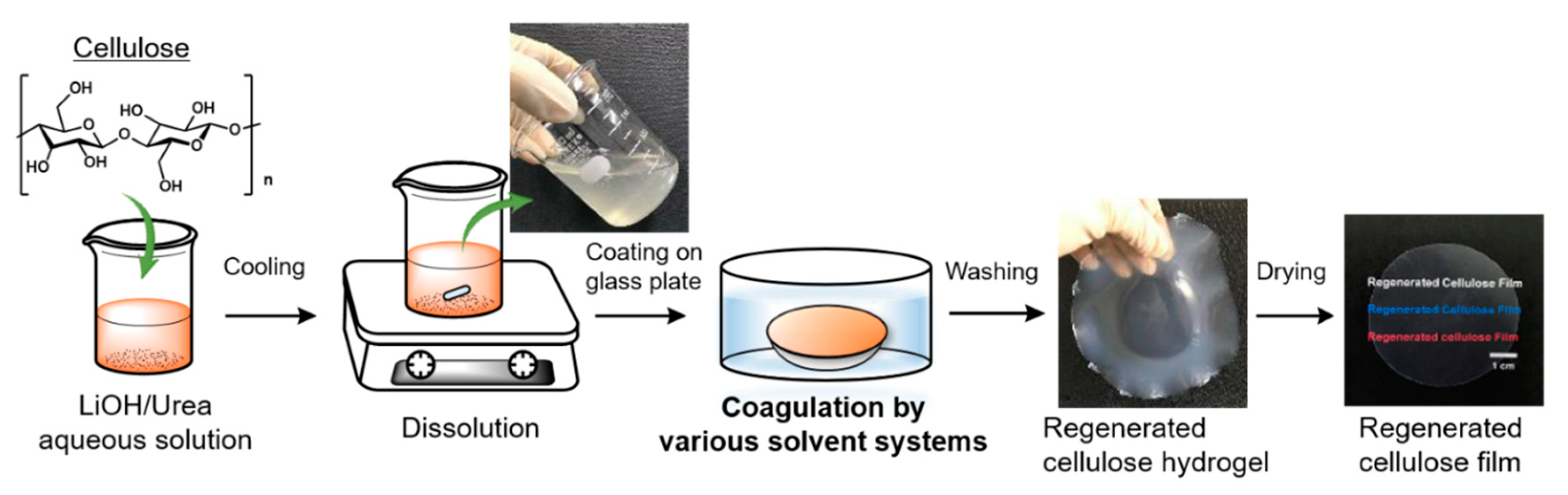 Polymers 13 04450 g001 550