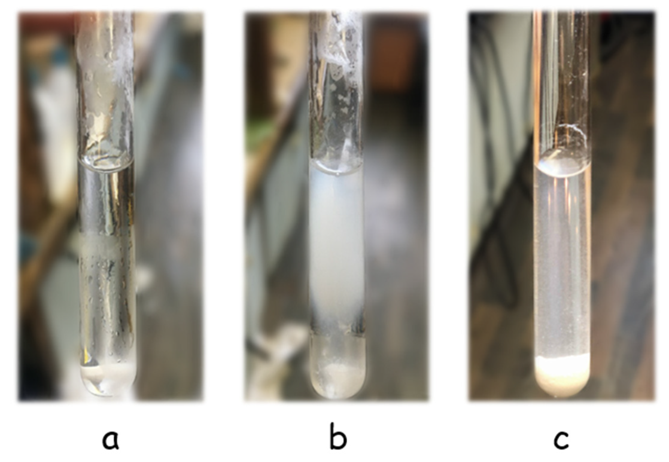 Polymers 13 04452 g002