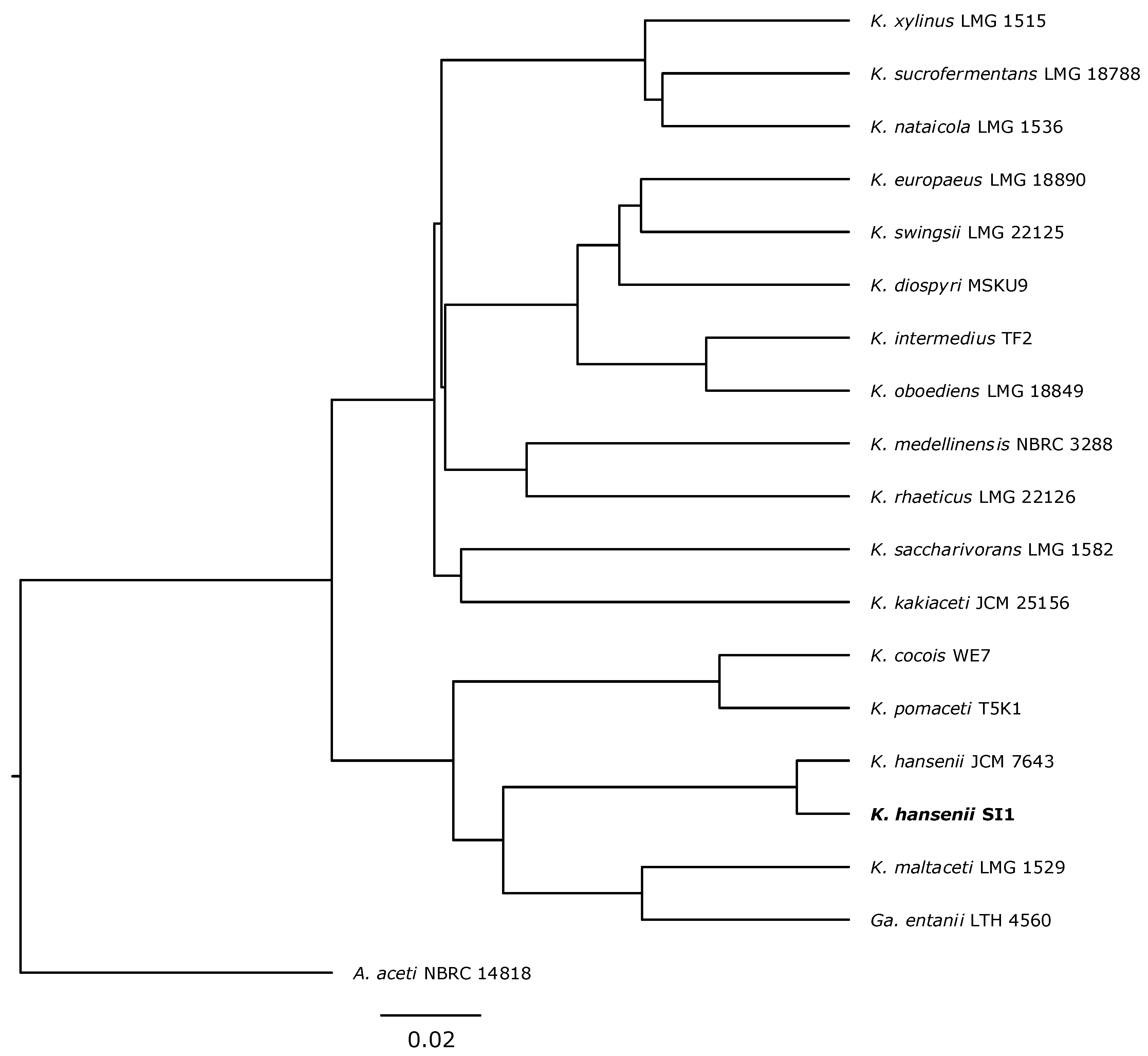 Polymers 13 04455 g001