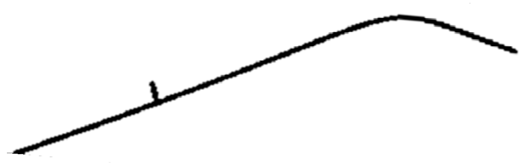 Polymers 13 04456 i002