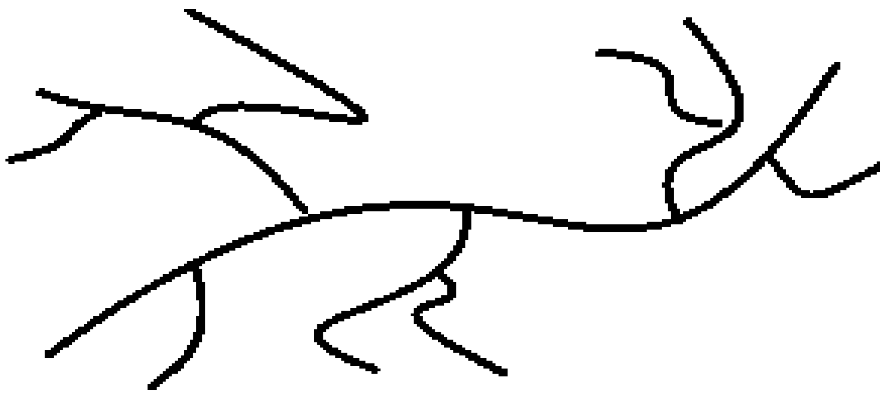 Polymers 13 04456 i006