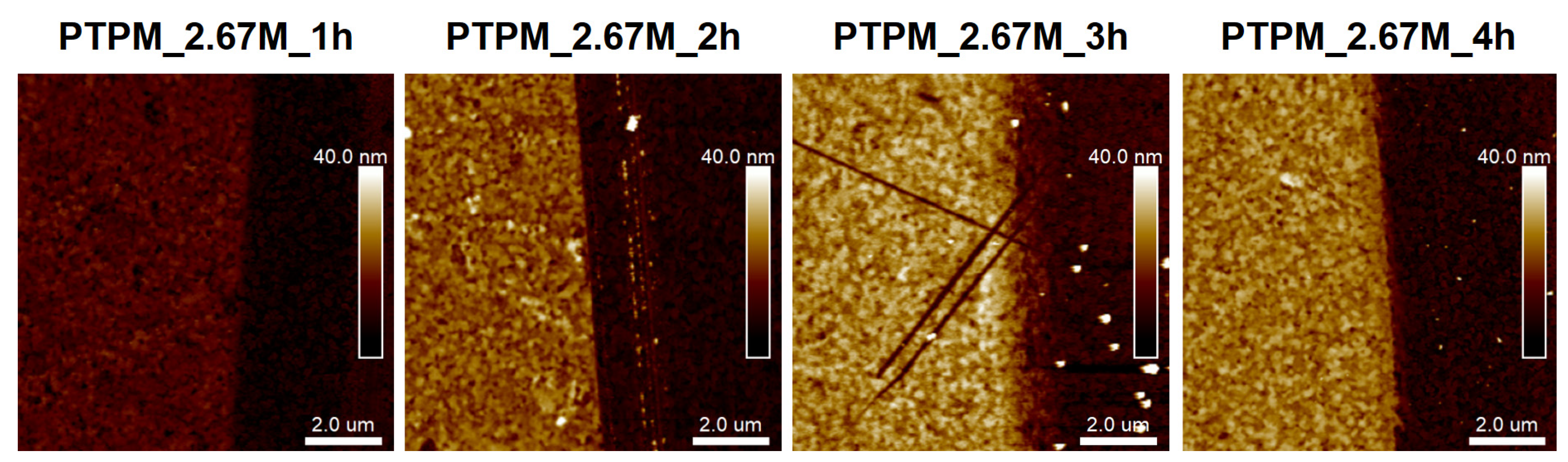 Polymers 13 04458 g006