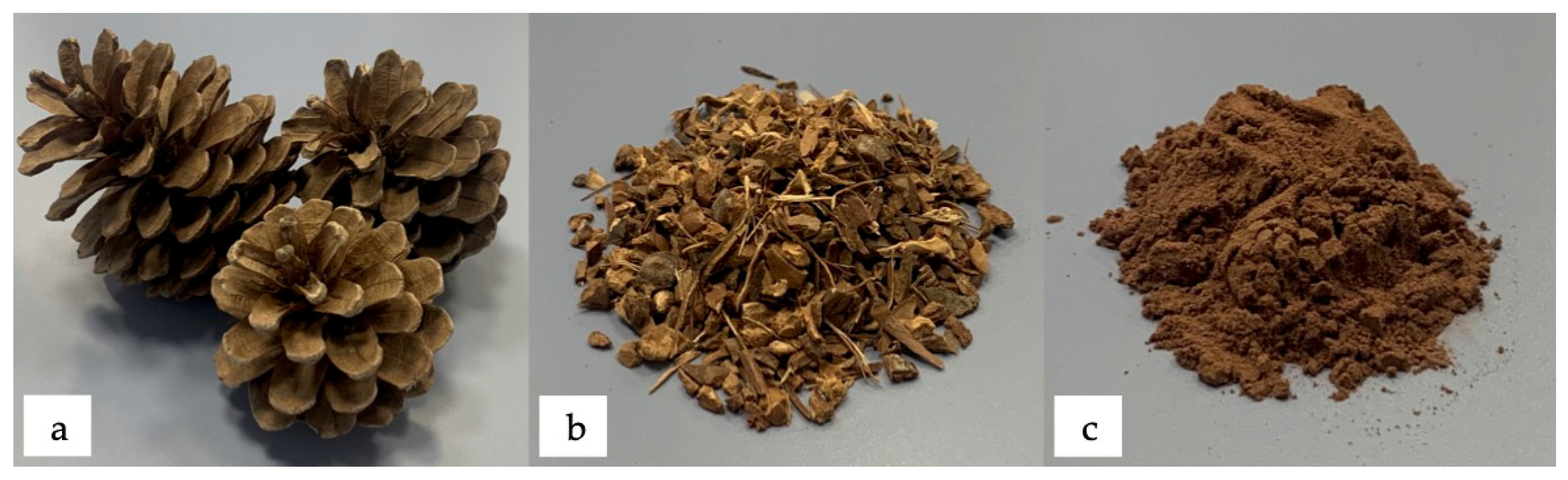 Polymers 13 04462 g001 550