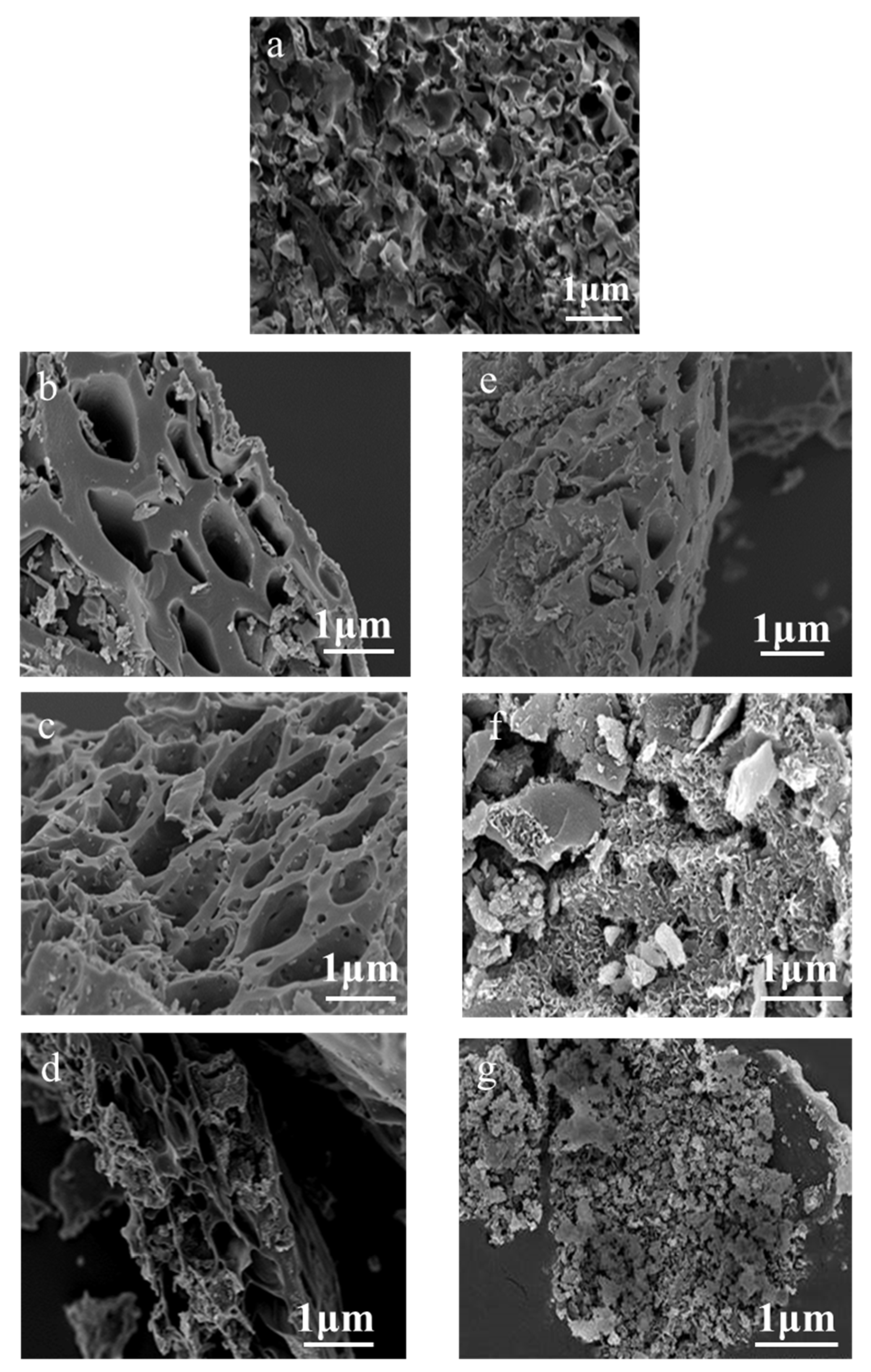 Polymers 13 04463 g002 550