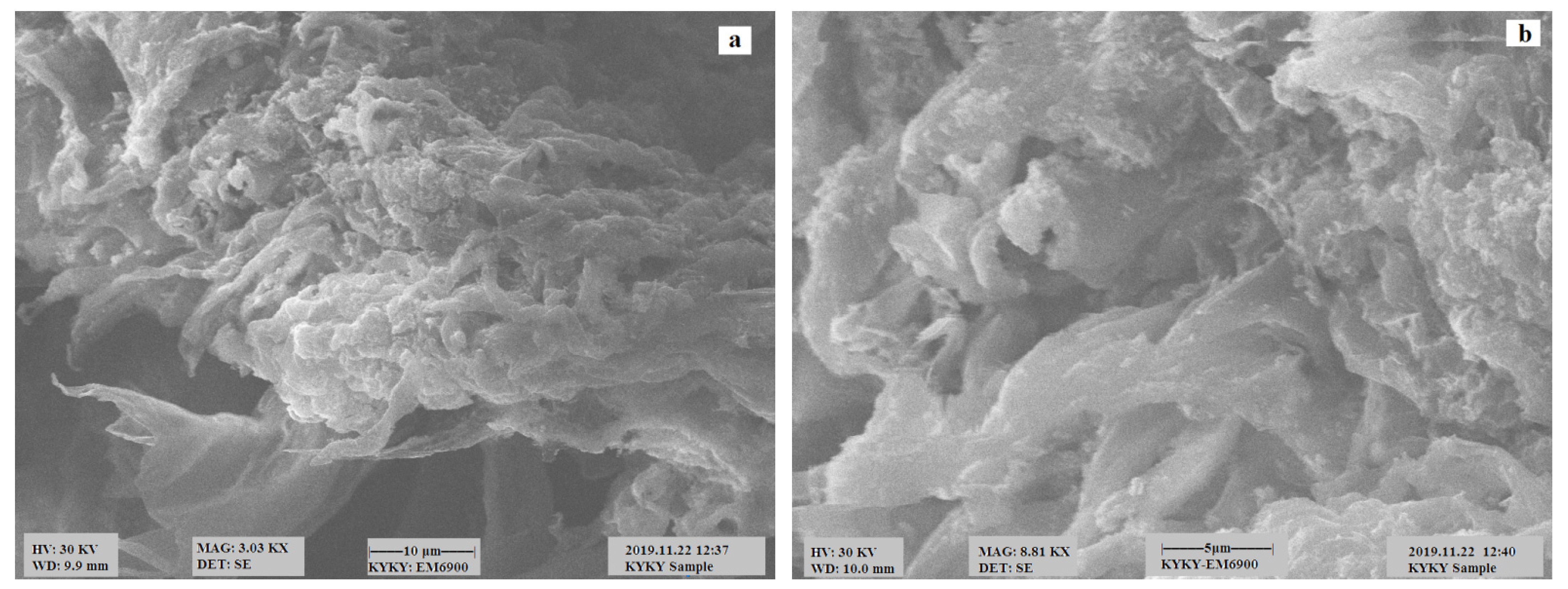 Polymers 13 04464 g002 550