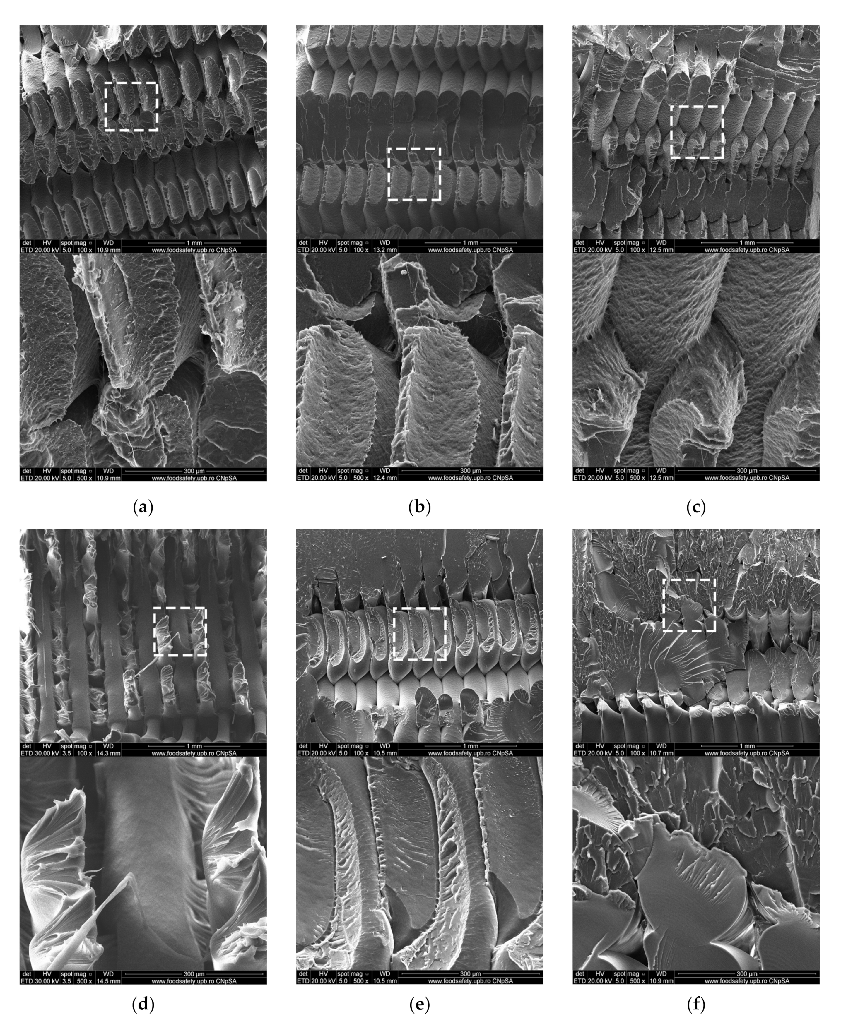 Polymers 13 04467 g005 Polymers 13 04467 g005