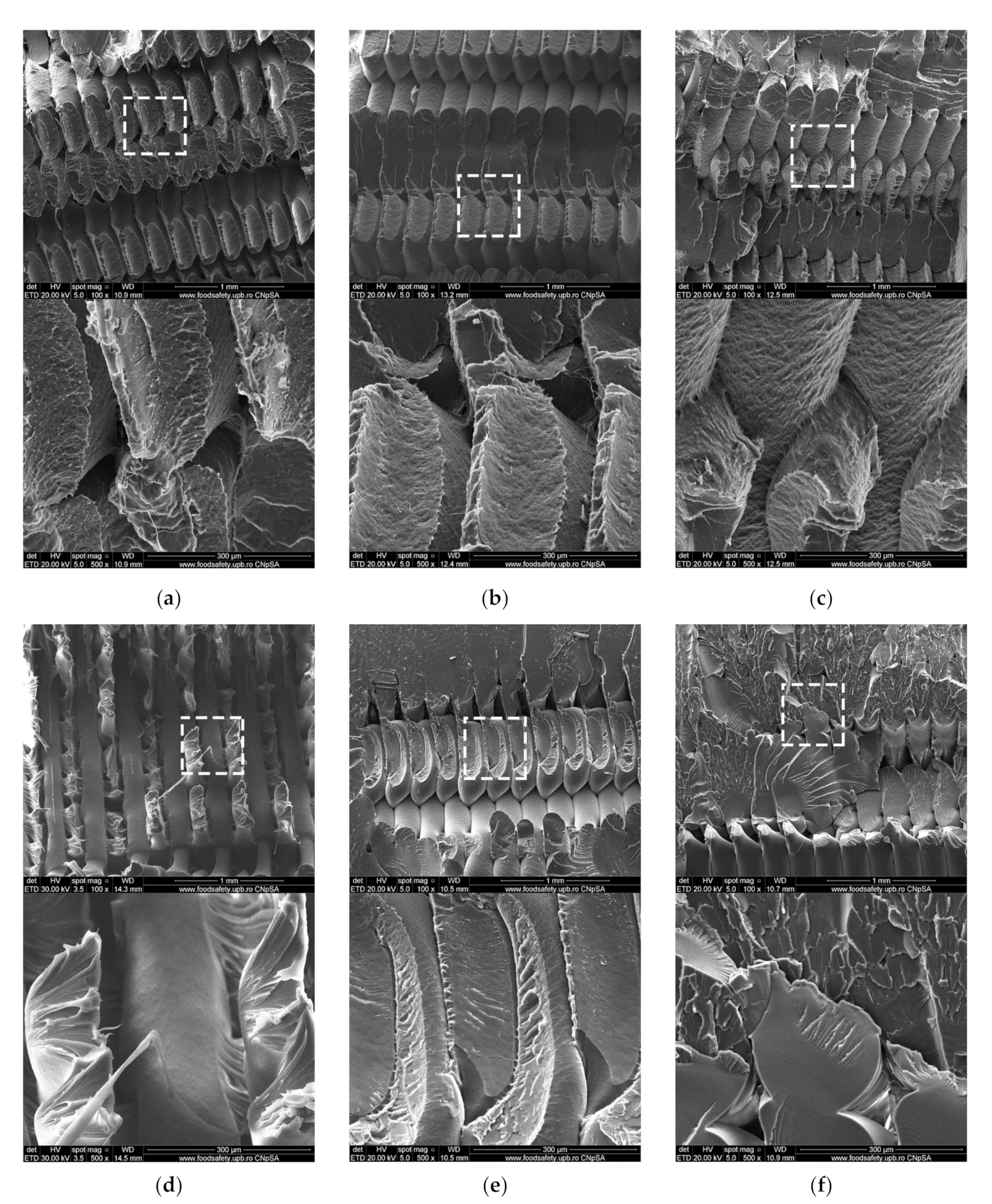 Polymers 13 04467 g009 Polymers 13 04467 g009
