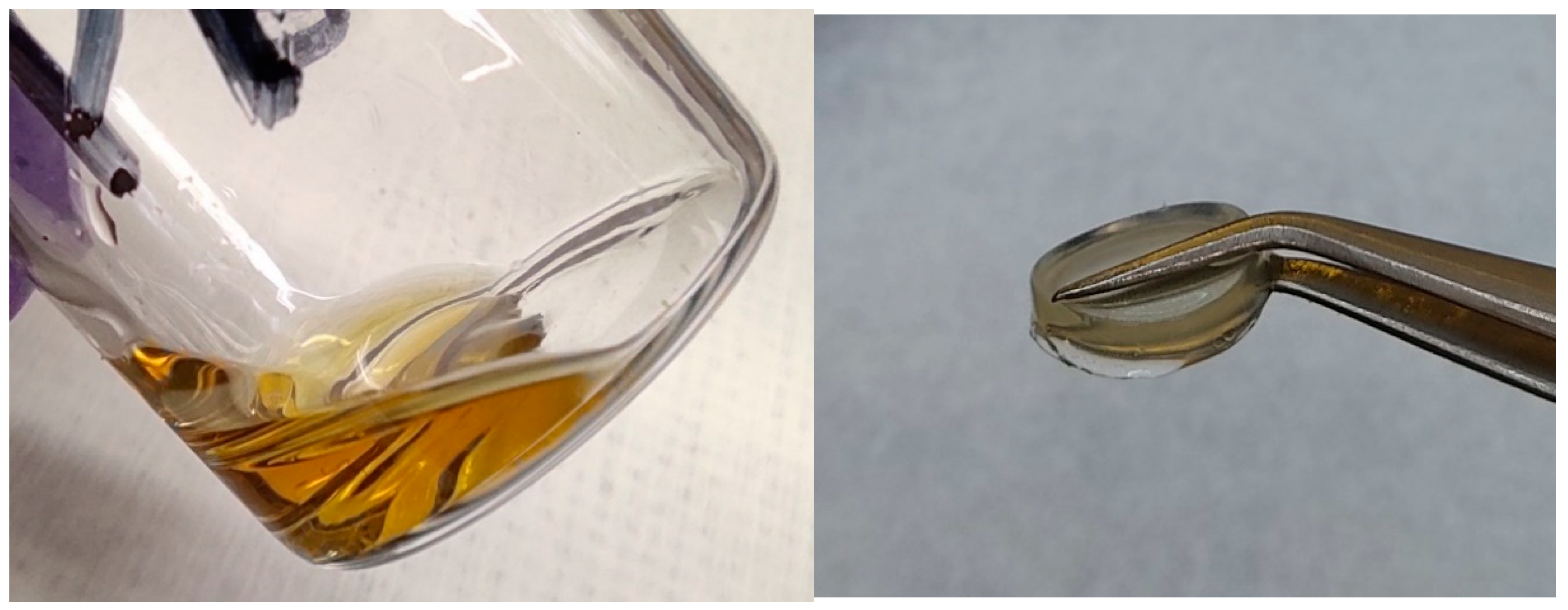 Polymers 13 04469 g003