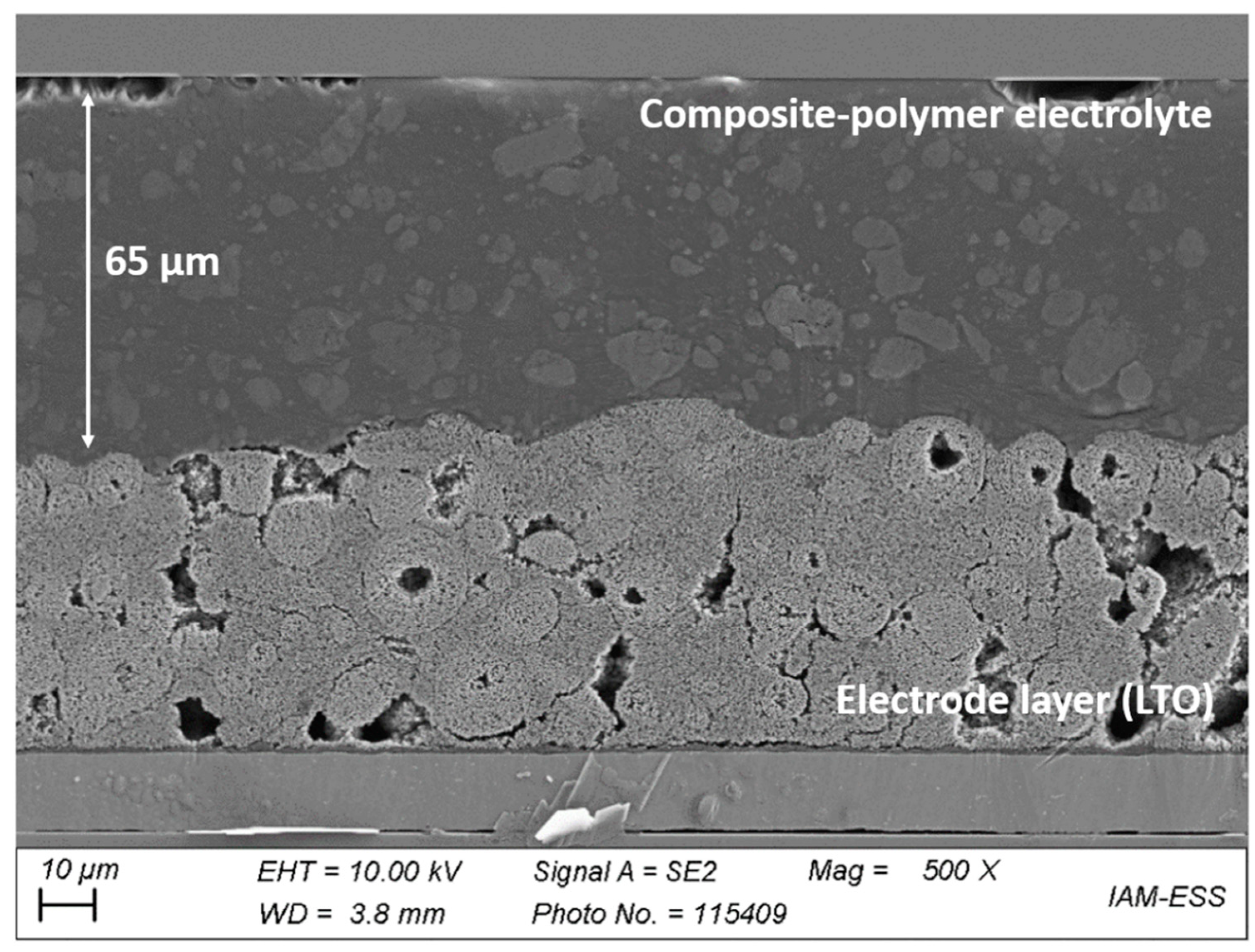 Polymers 13 04469 g006