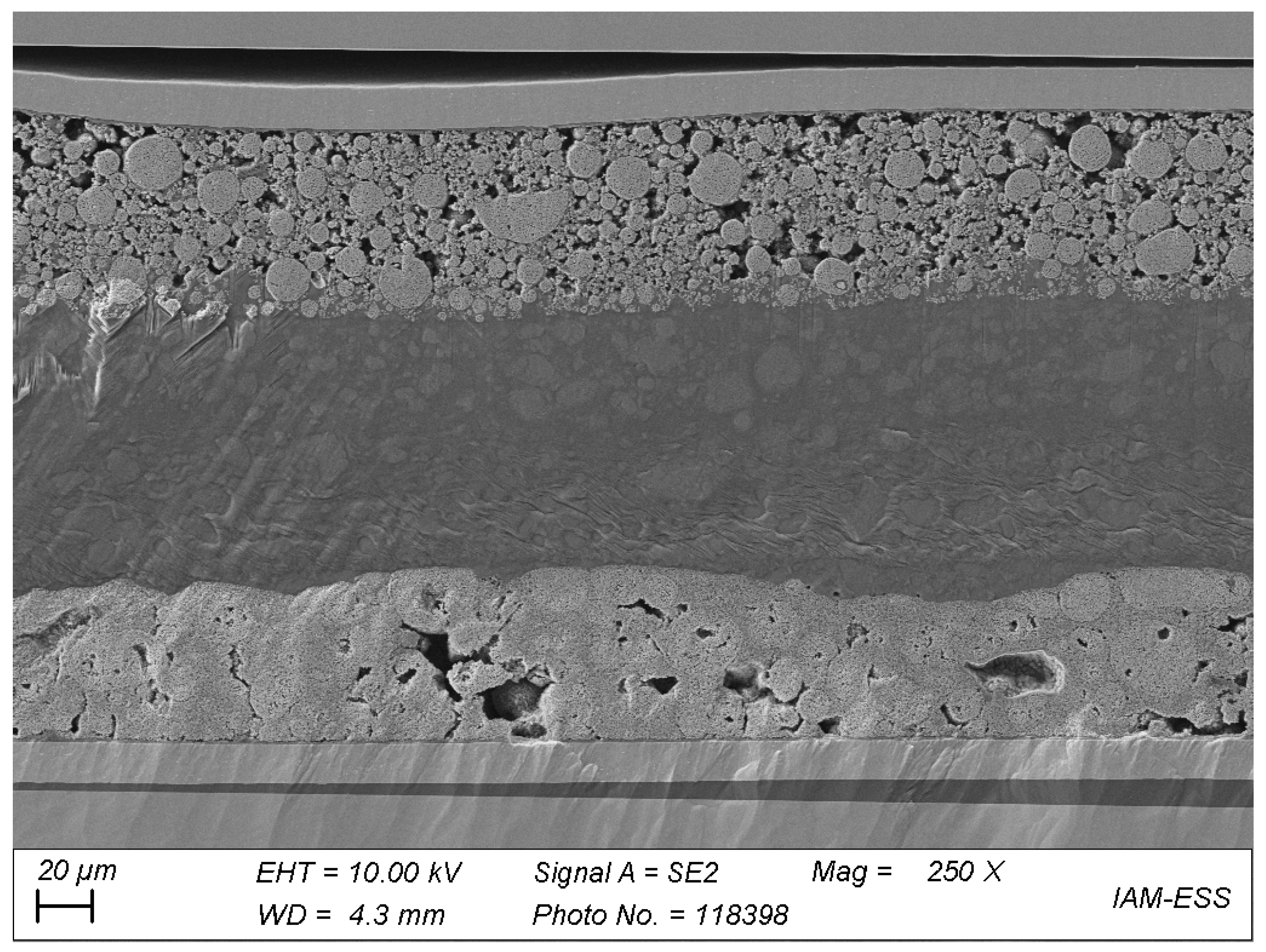 Polymers 13 04469 g011