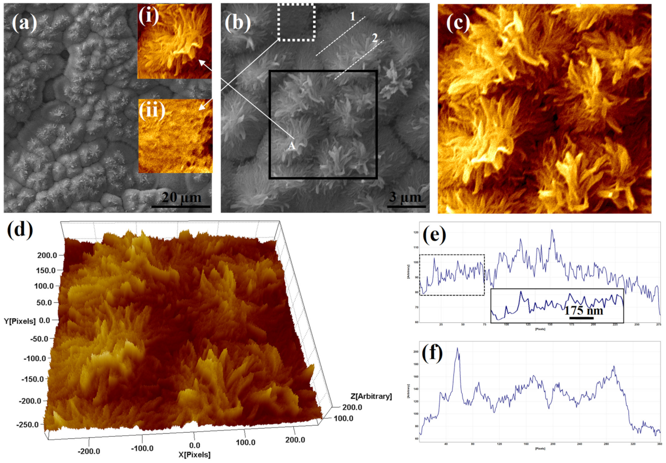 Polymers 13 04470 g003