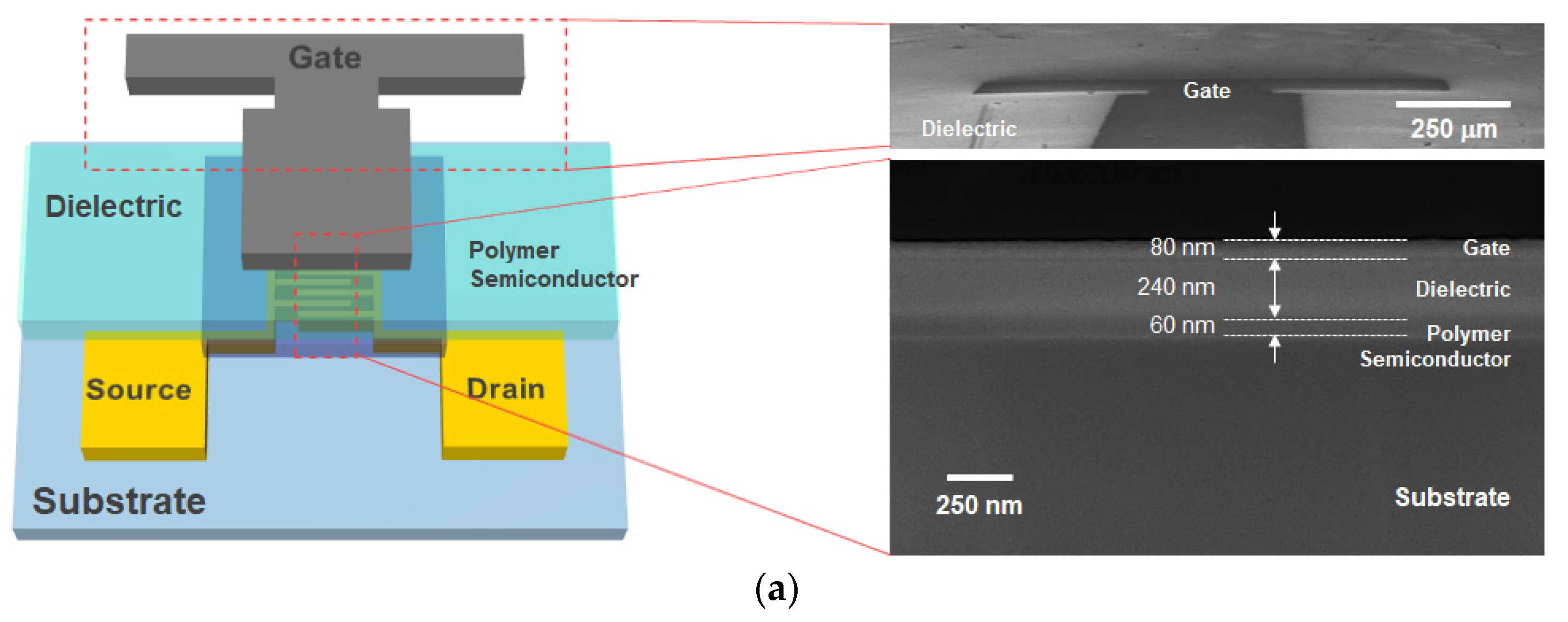 Polymers 14 00002 g001a 550