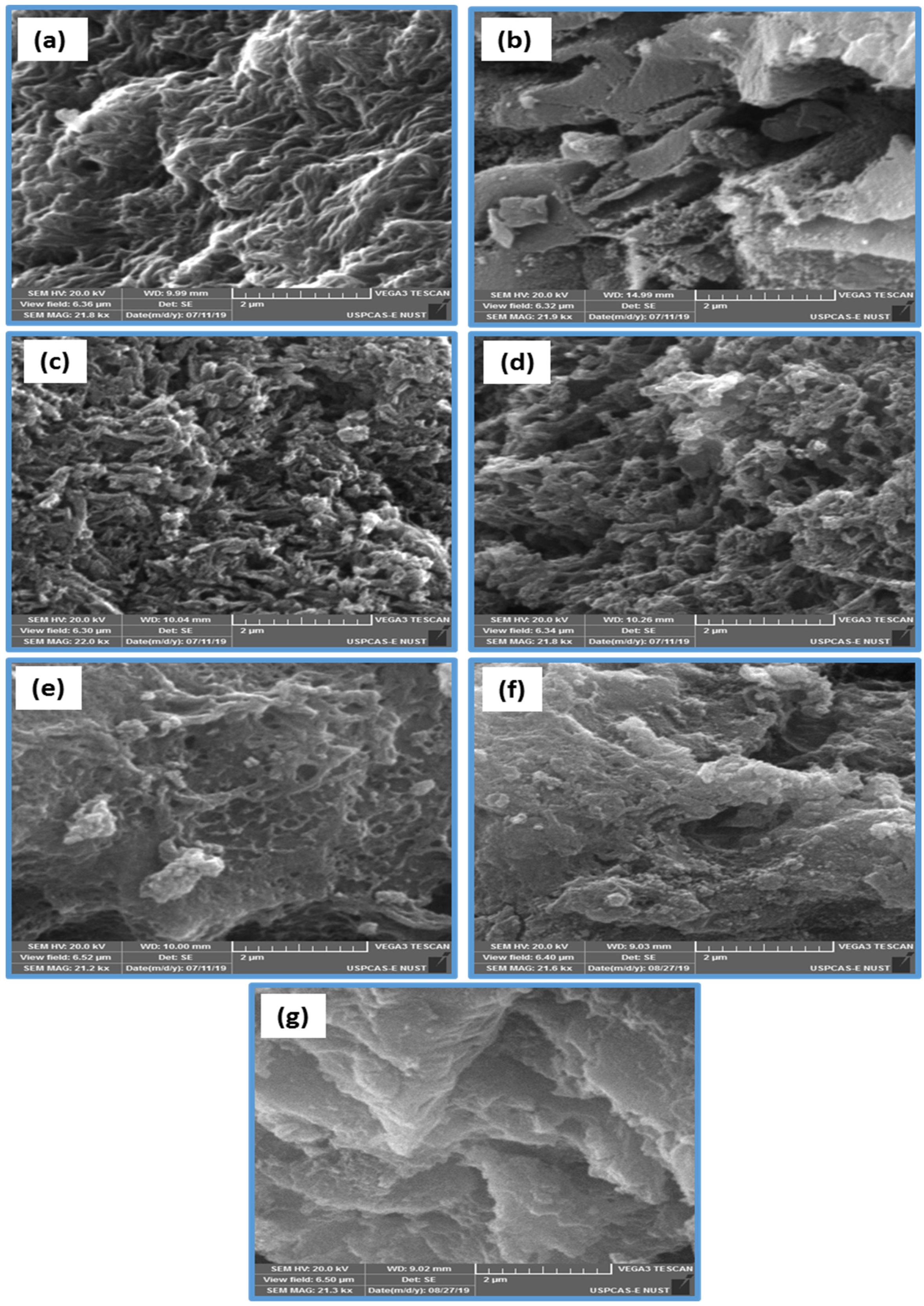 Polymers 14 00003 g002