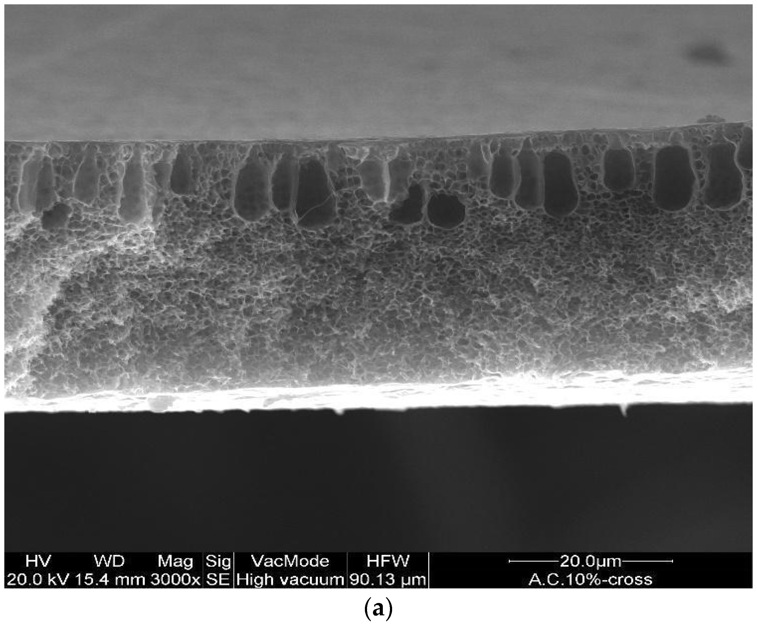 Polymers 14 00004 g002a