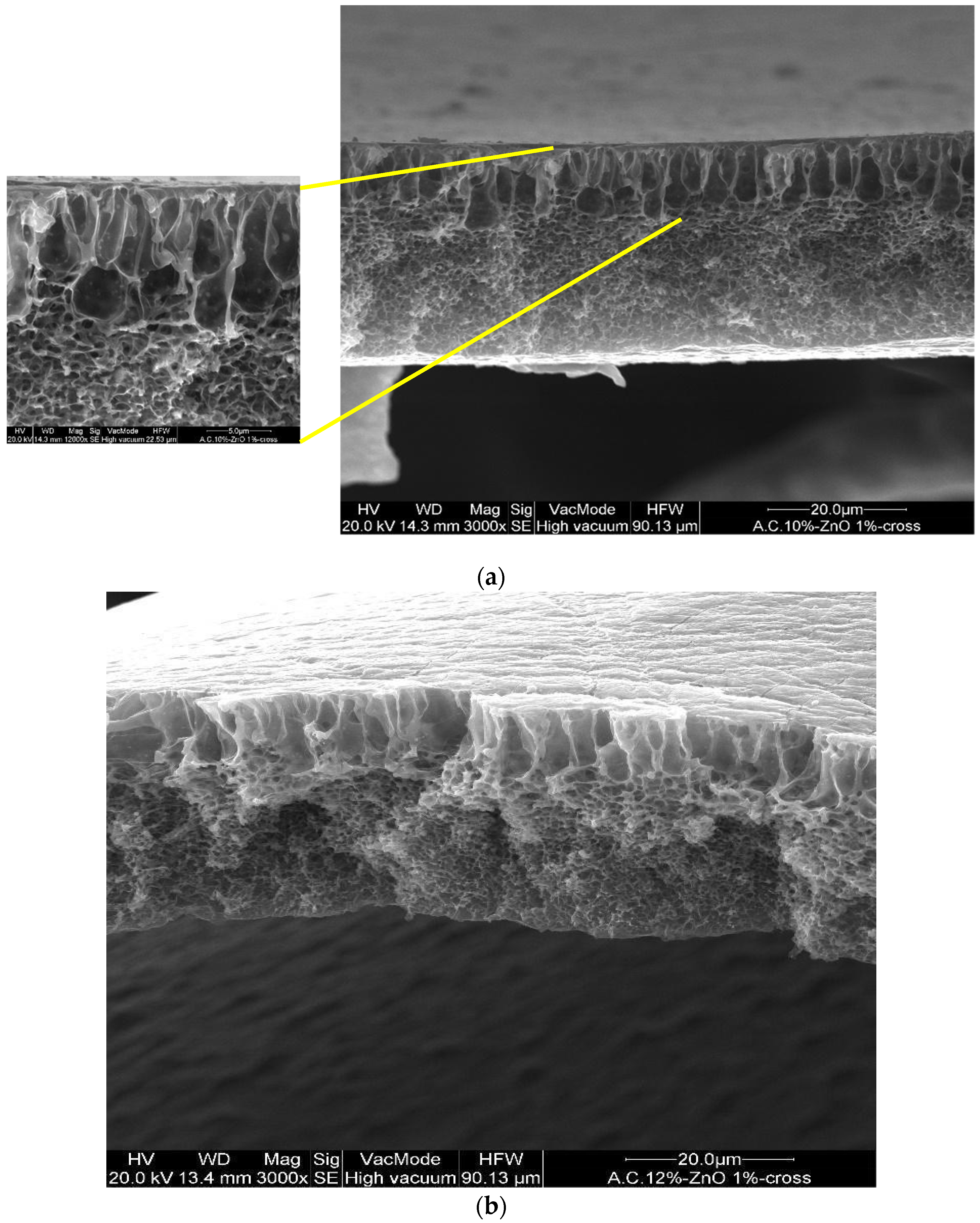 Polymers 14 00004 g003a